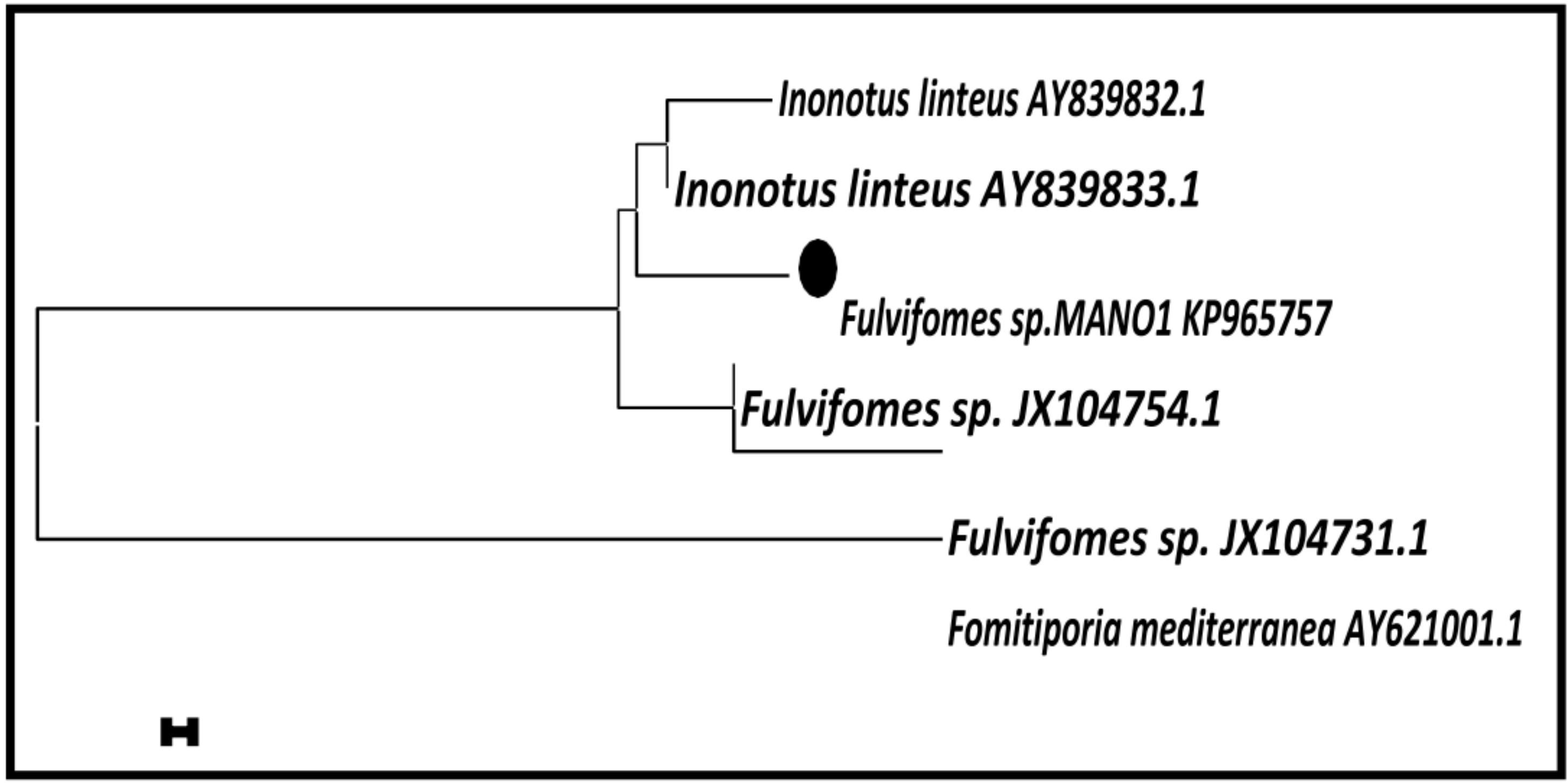 Jof 05 00016 g002