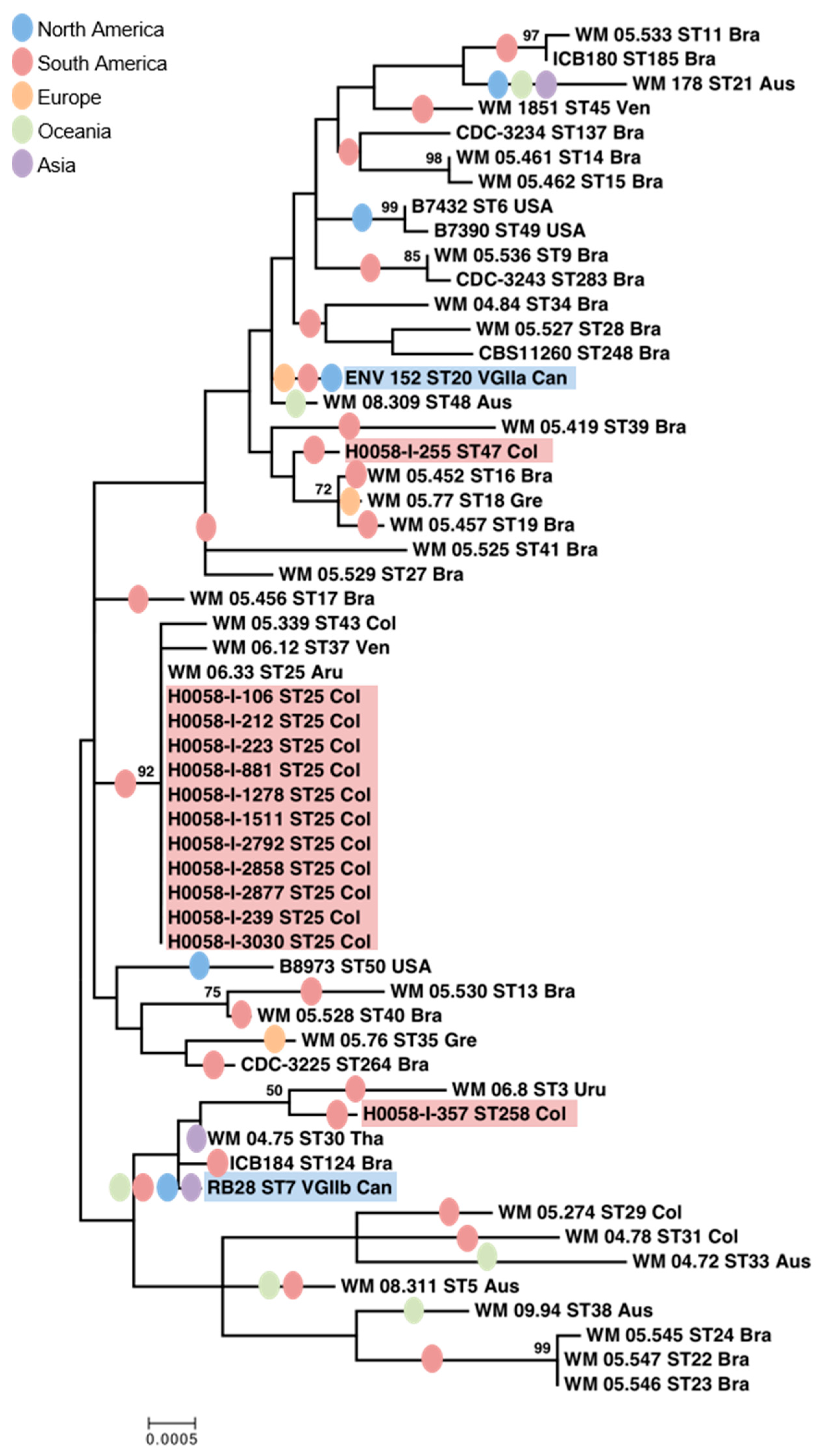 Jof 05 00032 g001 Jof 05 00032 g001