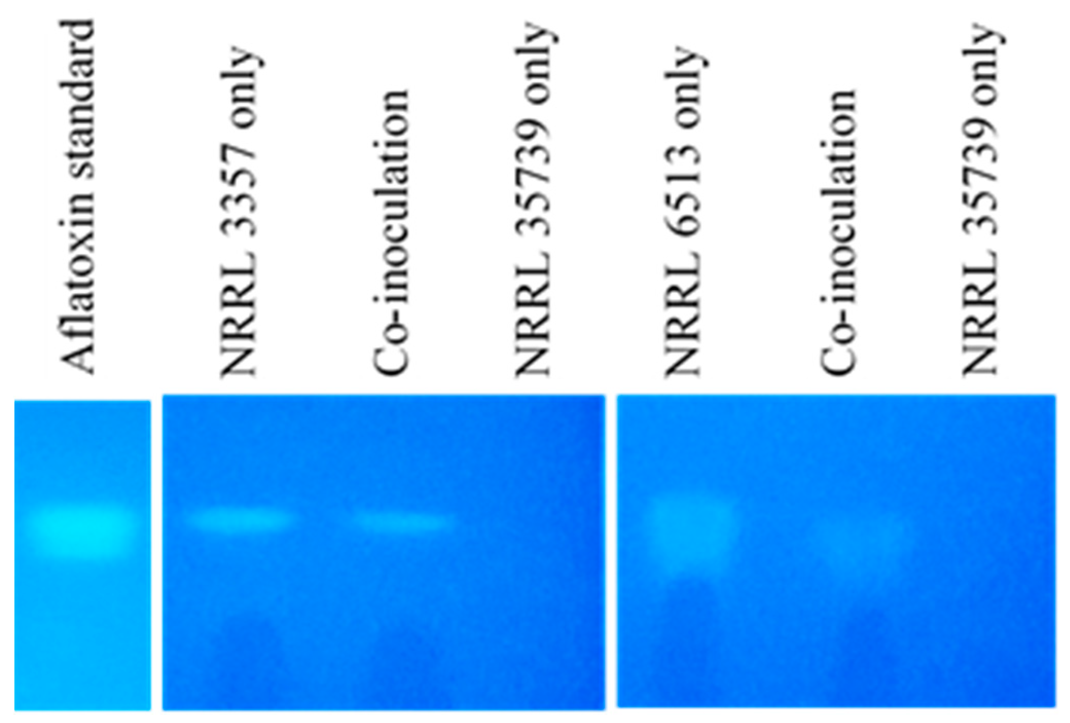 Jof 05 00053 g001 Jof 05 00053 g001