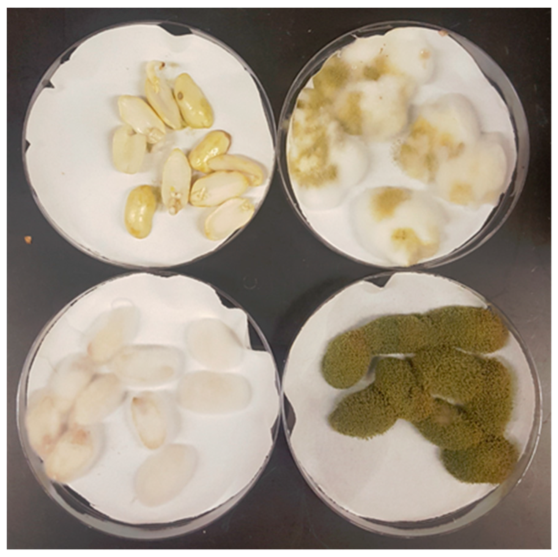 Jof 05 00053 g003 Jof 05 00053 g003