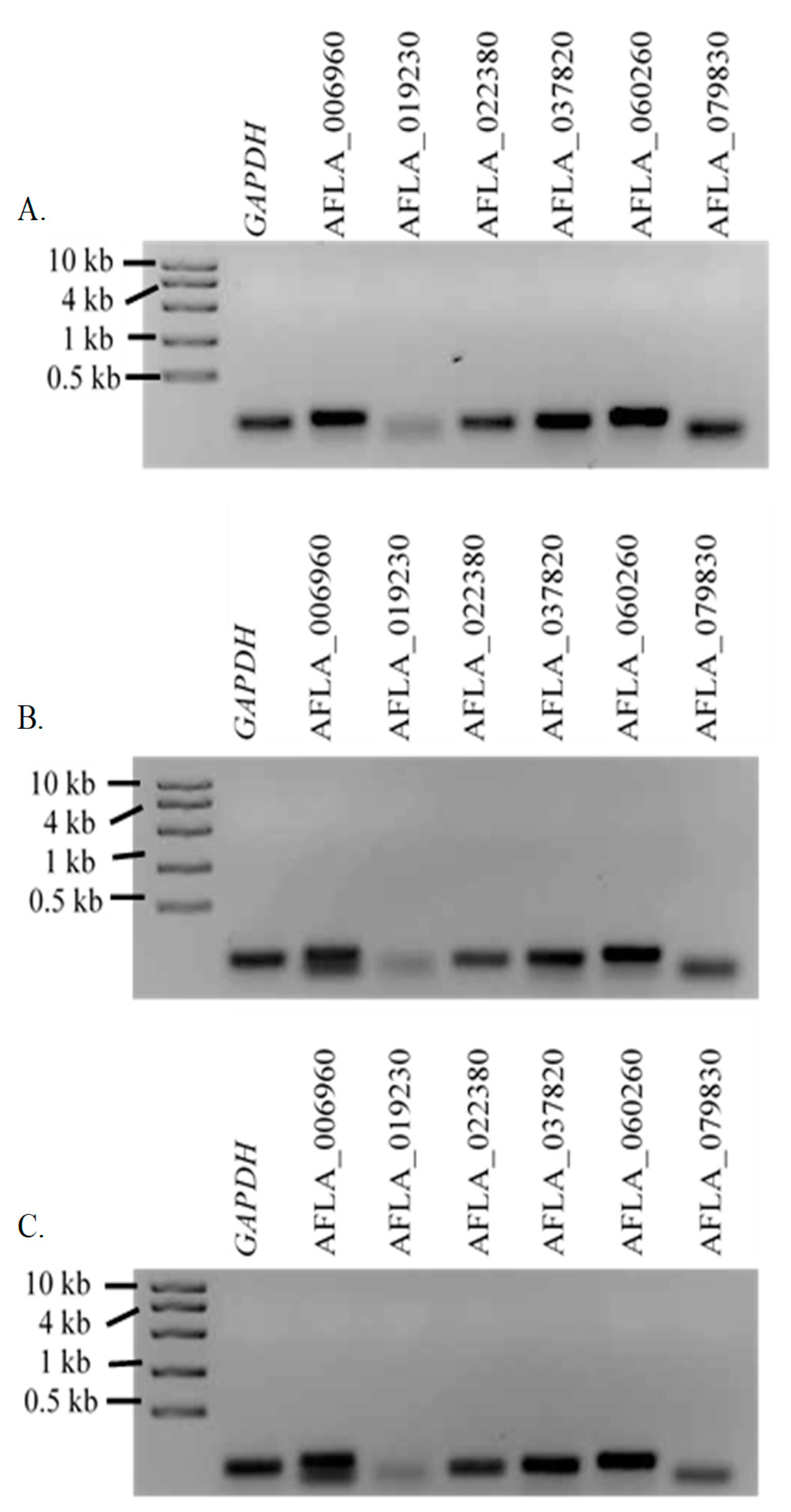 Jof 05 00053 g006 Jof 05 00053 g006