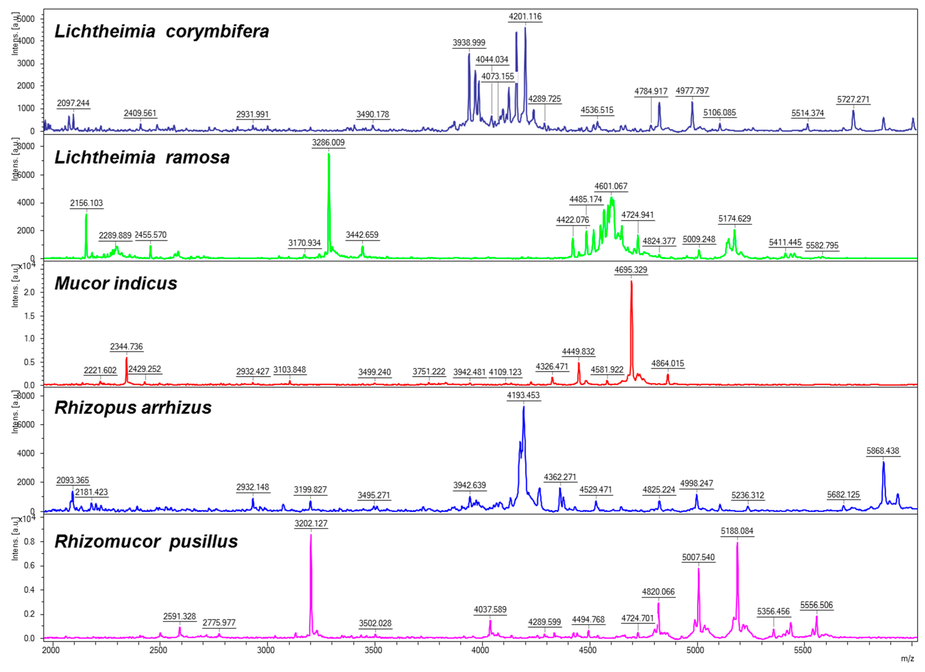 Jof 05 00056 g001 Jof 05 00056 g001