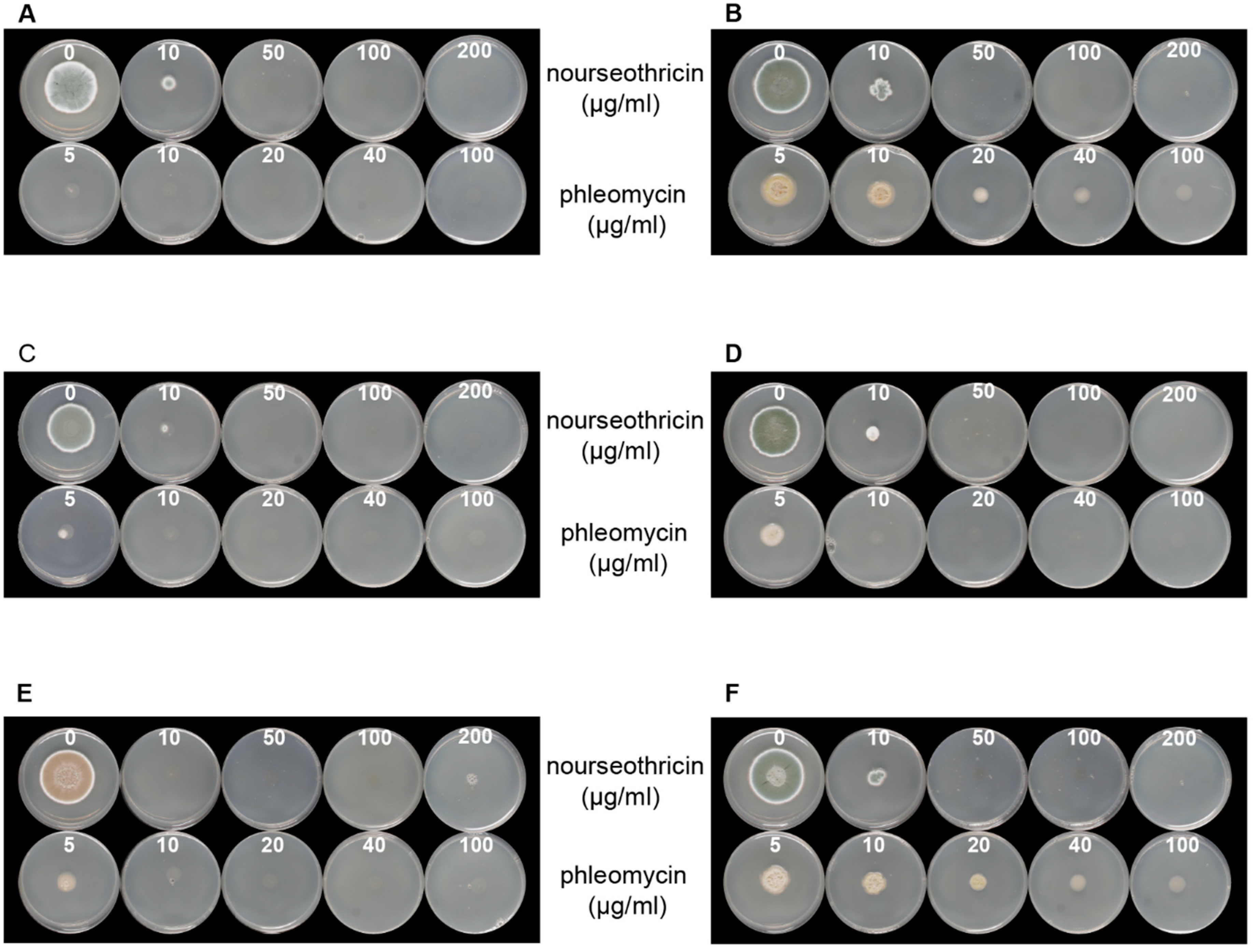 Jof 05 00096 g001 Jof 05 00096 g001