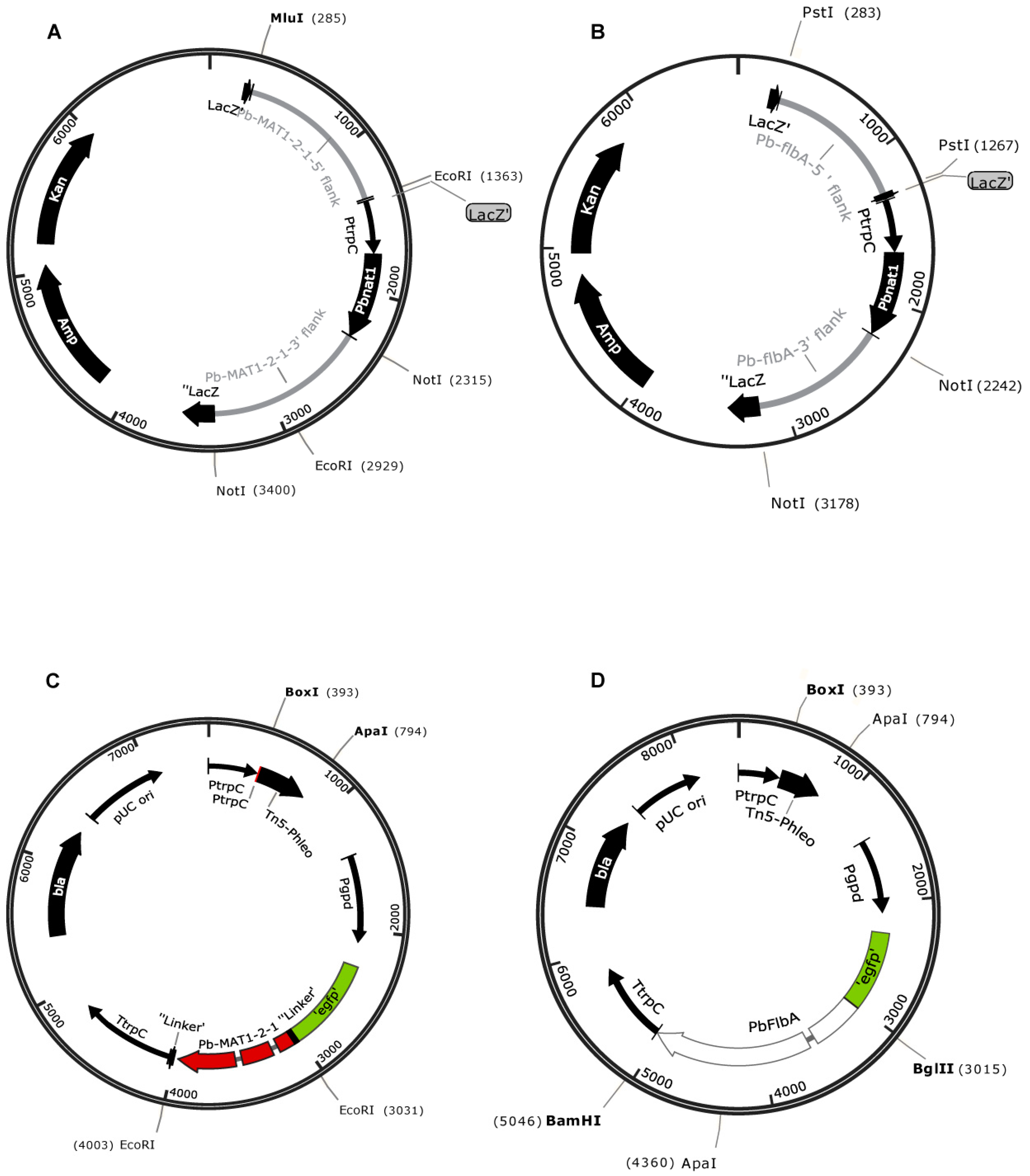 Jof 05 00096 g003 Jof 05 00096 g003
