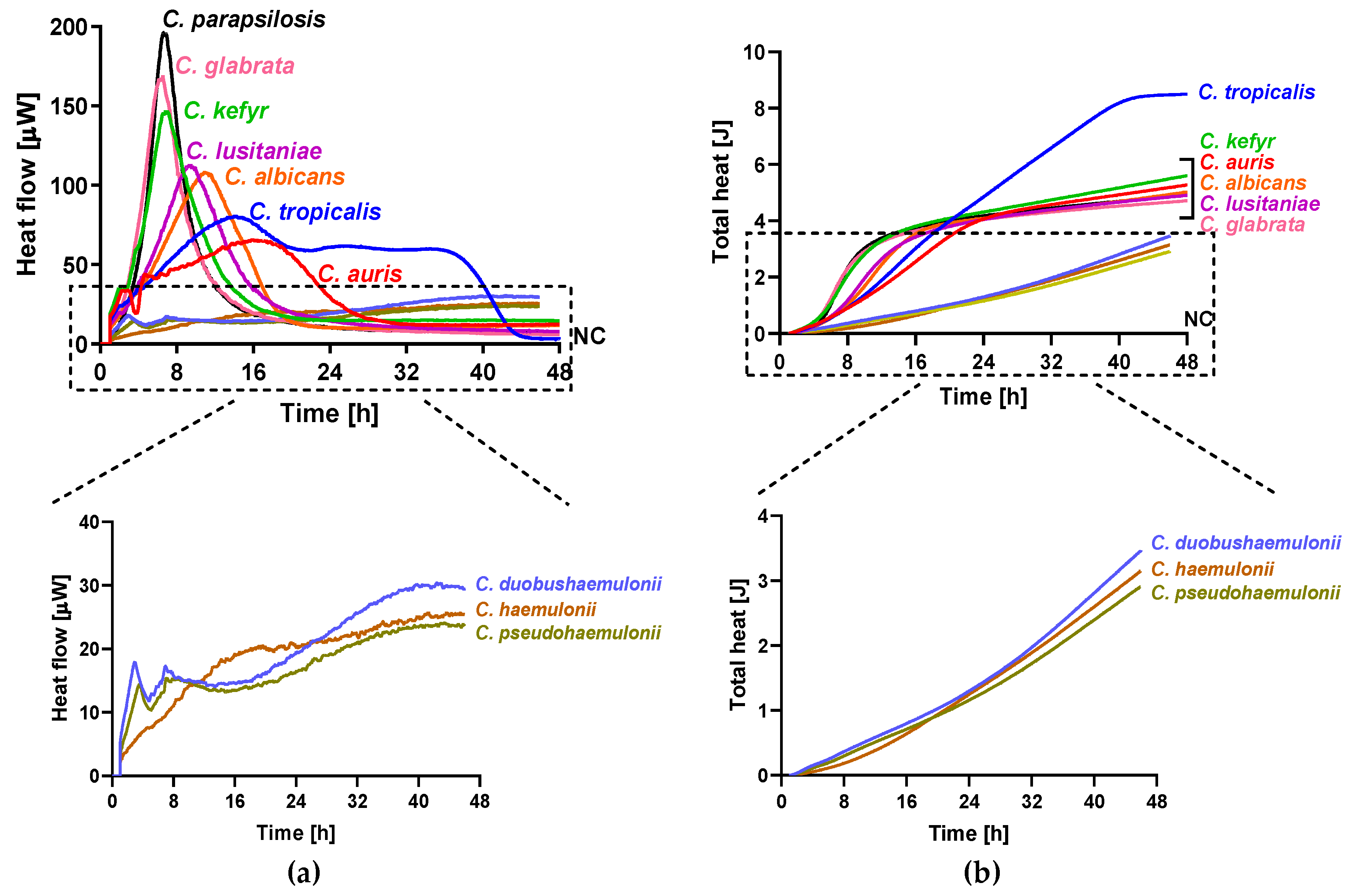 Jof 05 00103 g001 Jof 05 00103 g001