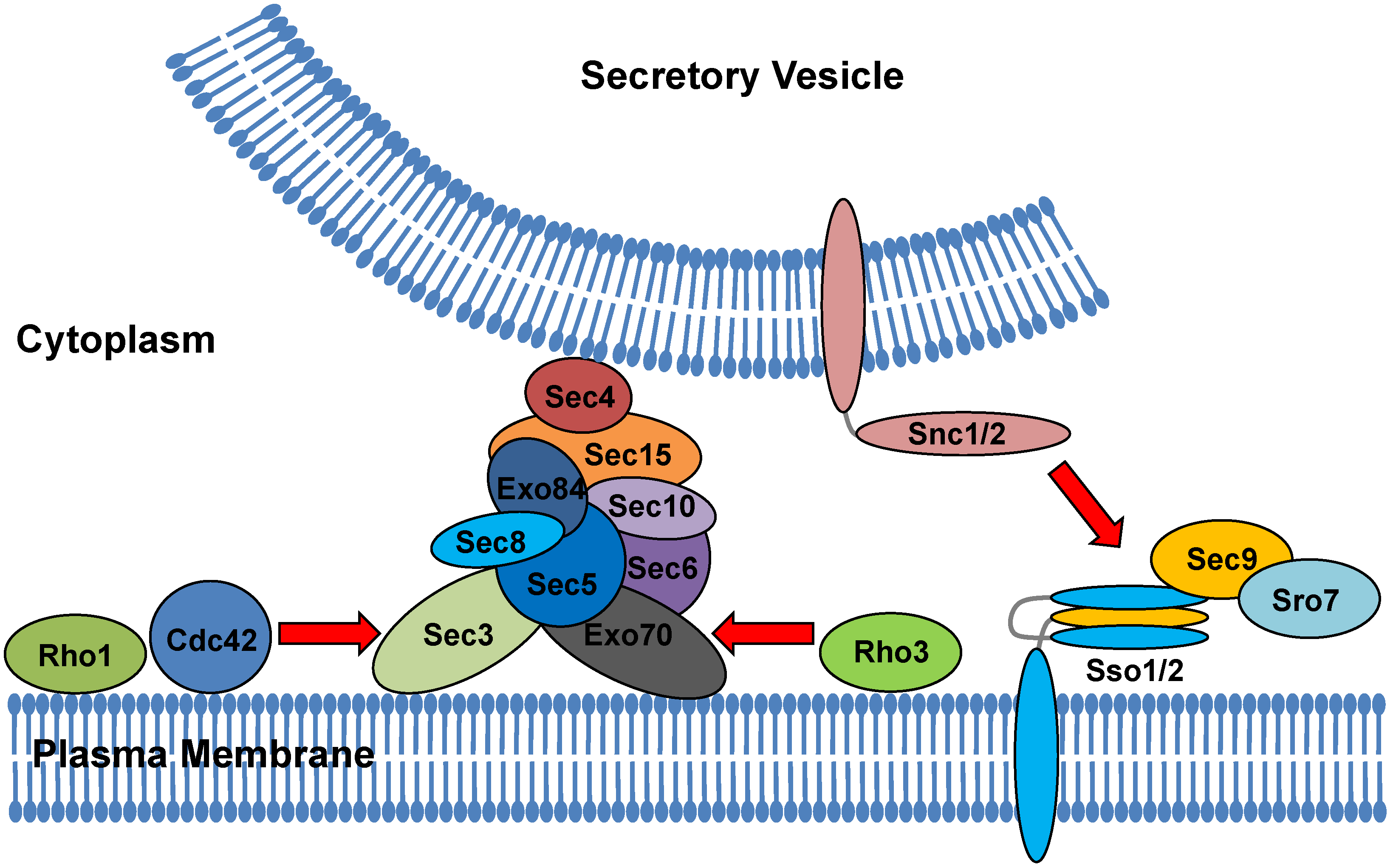 Jof 06 00026 g002 Jof 06 00026 g002