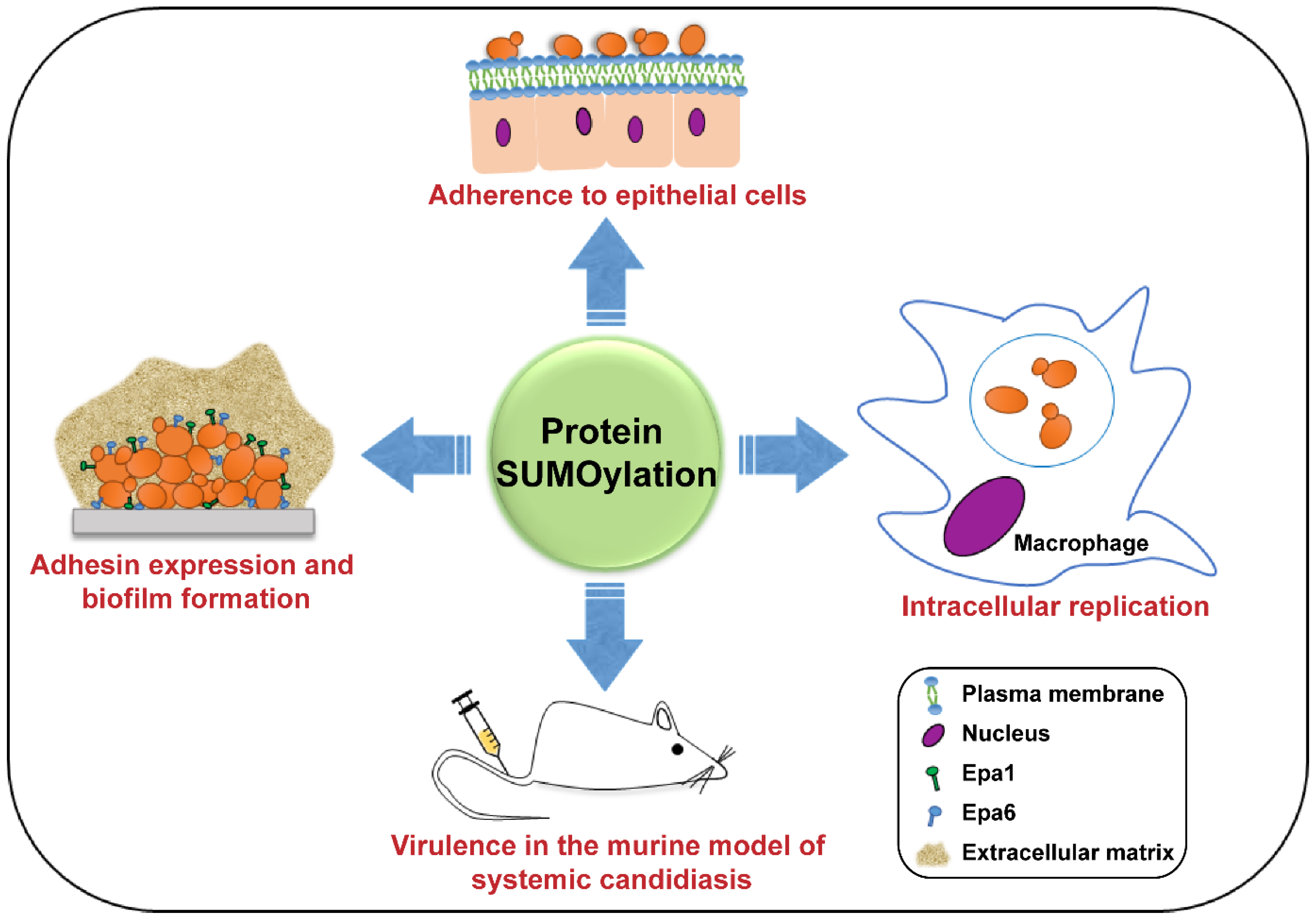 Jof 06 00032 g003 Jof 06 00032 g003