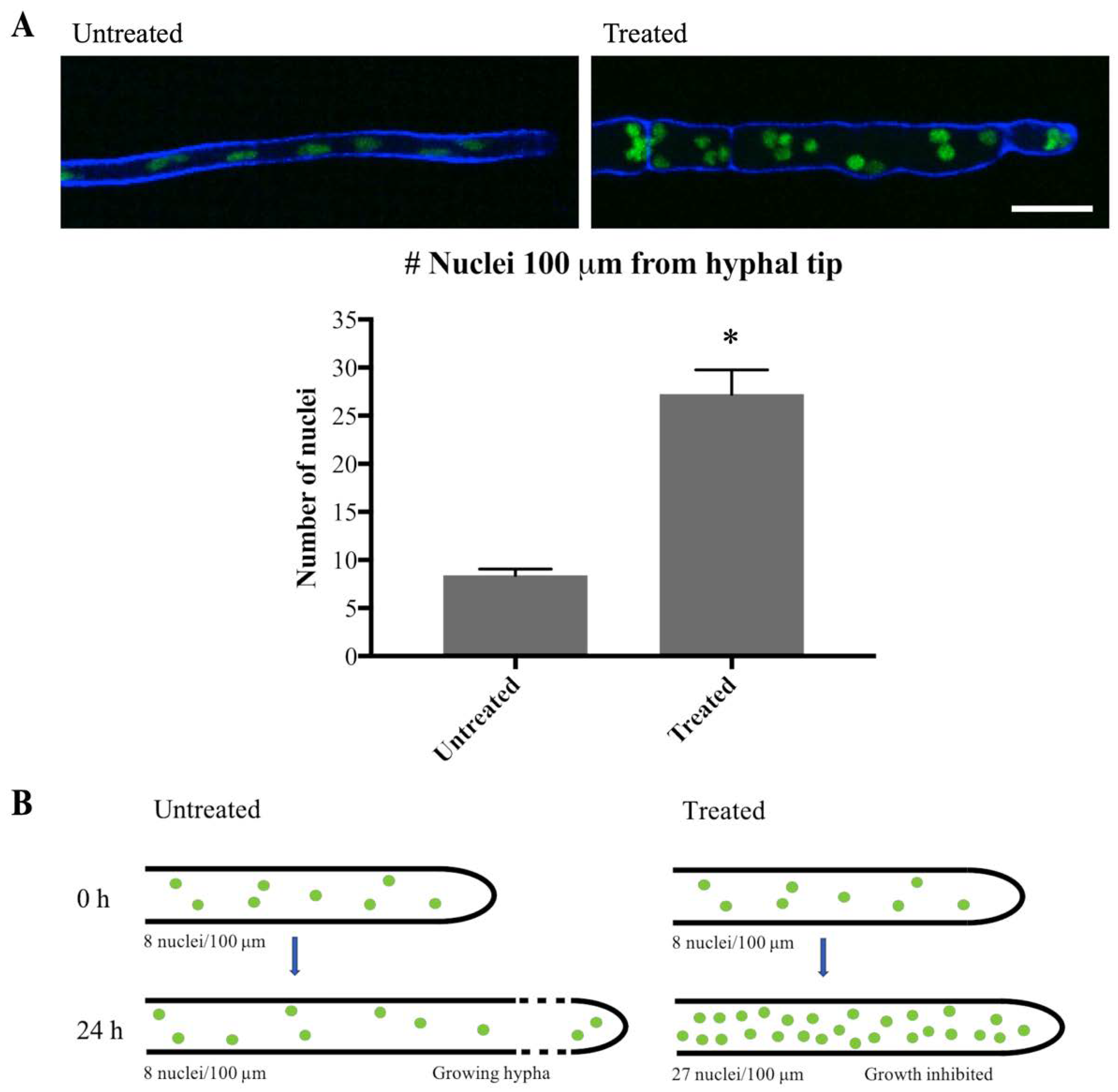 Jof 06 00047 g007 Jof 06 00047 g007