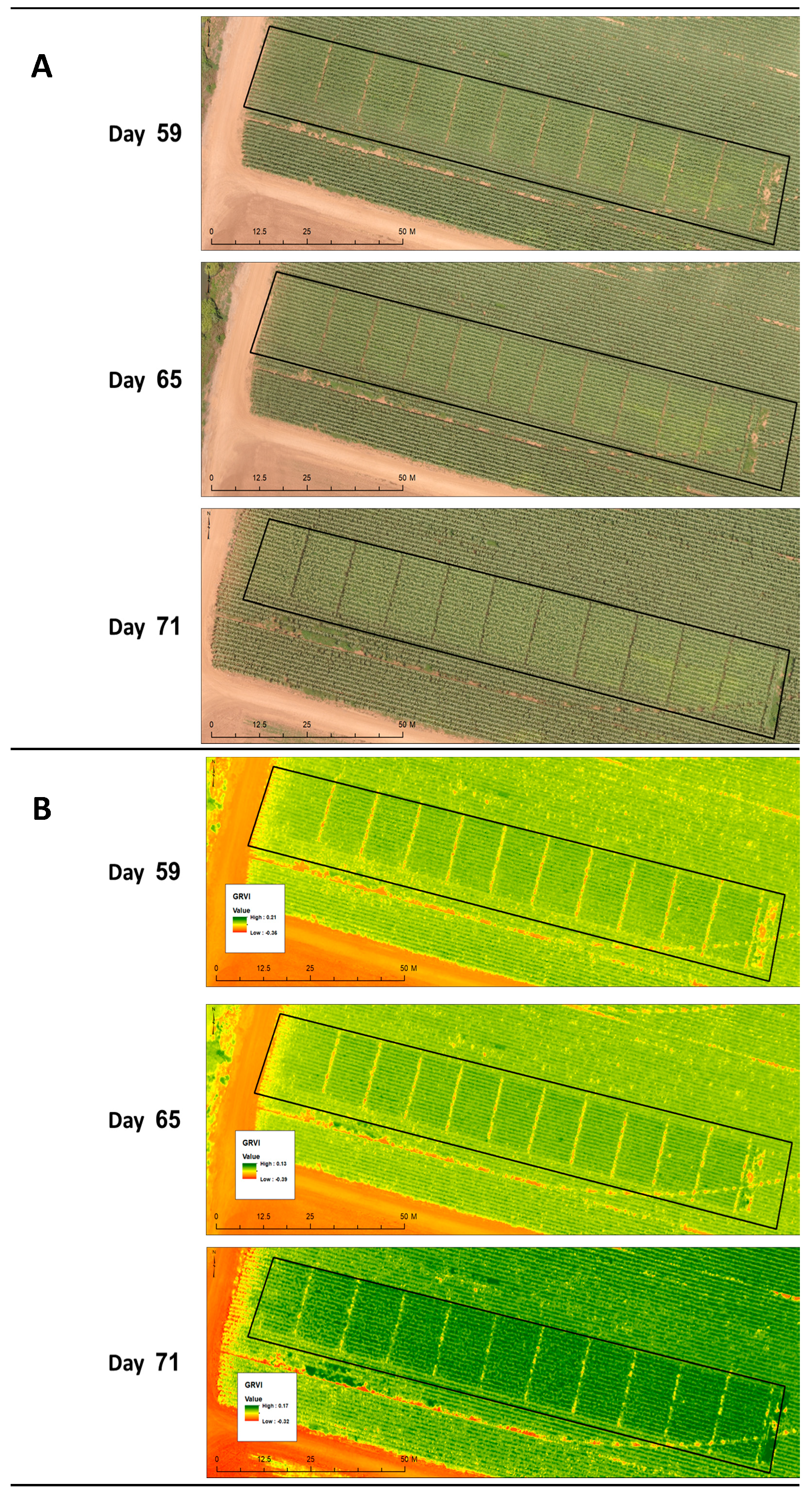 Jof 06 00054 g002 Jof 06 00054 g002