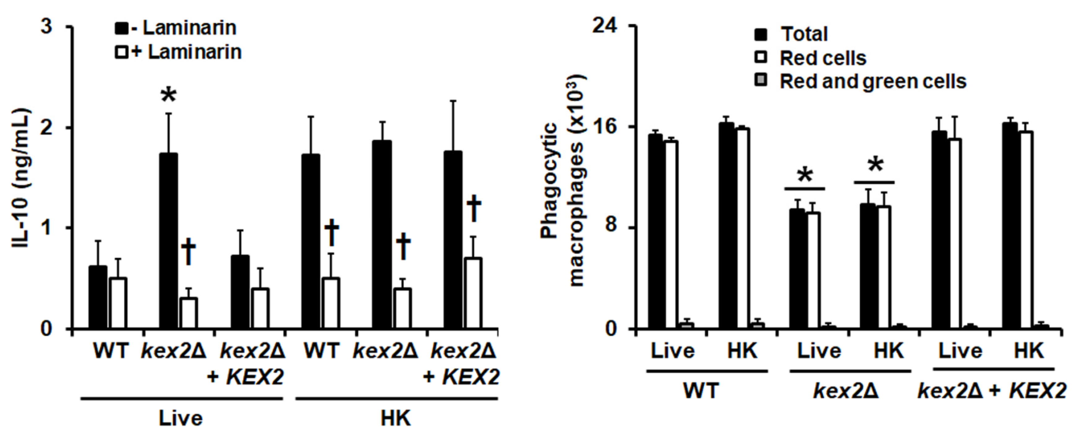 Jof 06 00057 g005 Jof 06 00057 g005