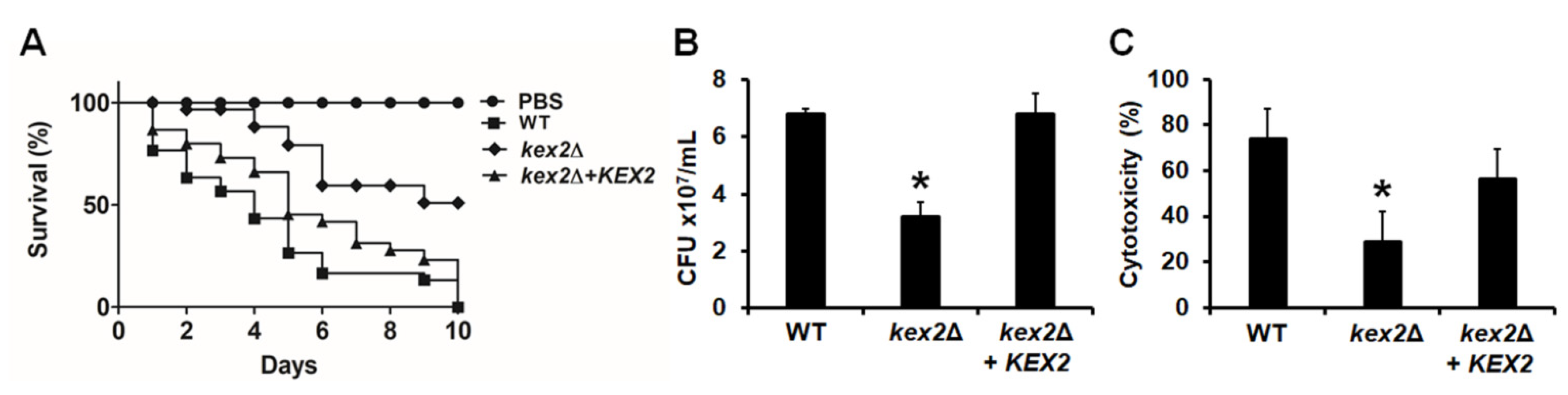 Jof 06 00057 g006 Jof 06 00057 g006