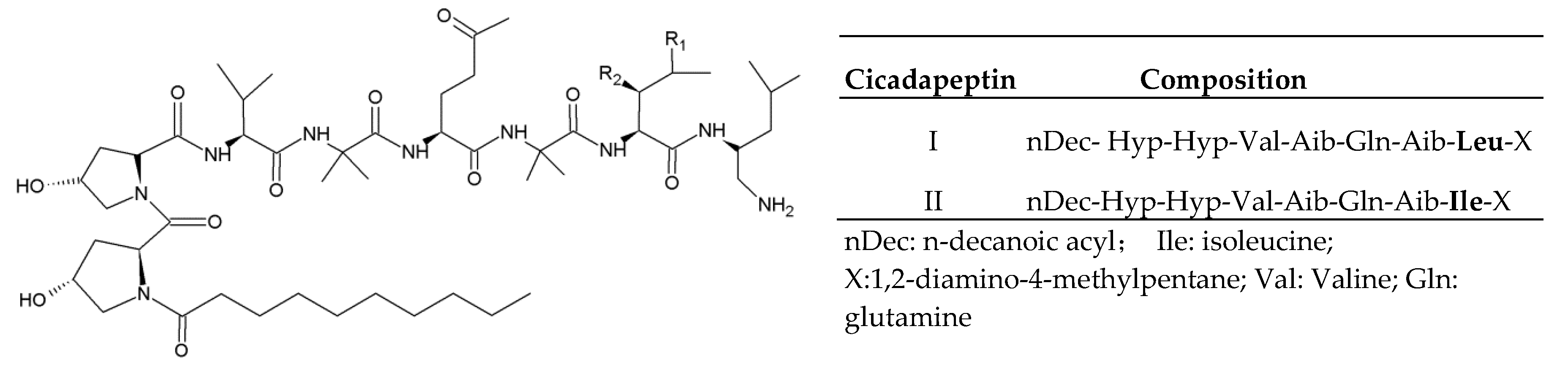 peptide in sarcina