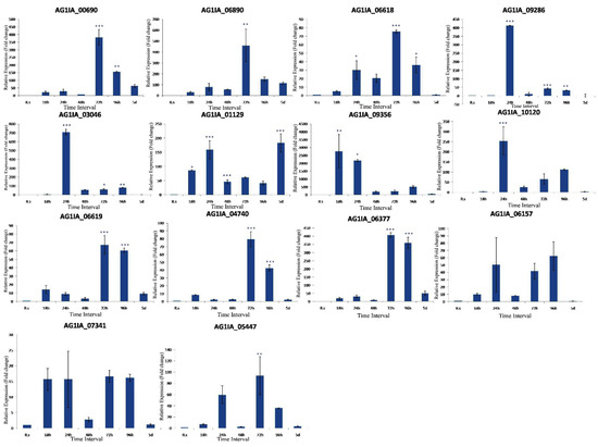 A Comprehensive Gene Expression Profile of Pectin