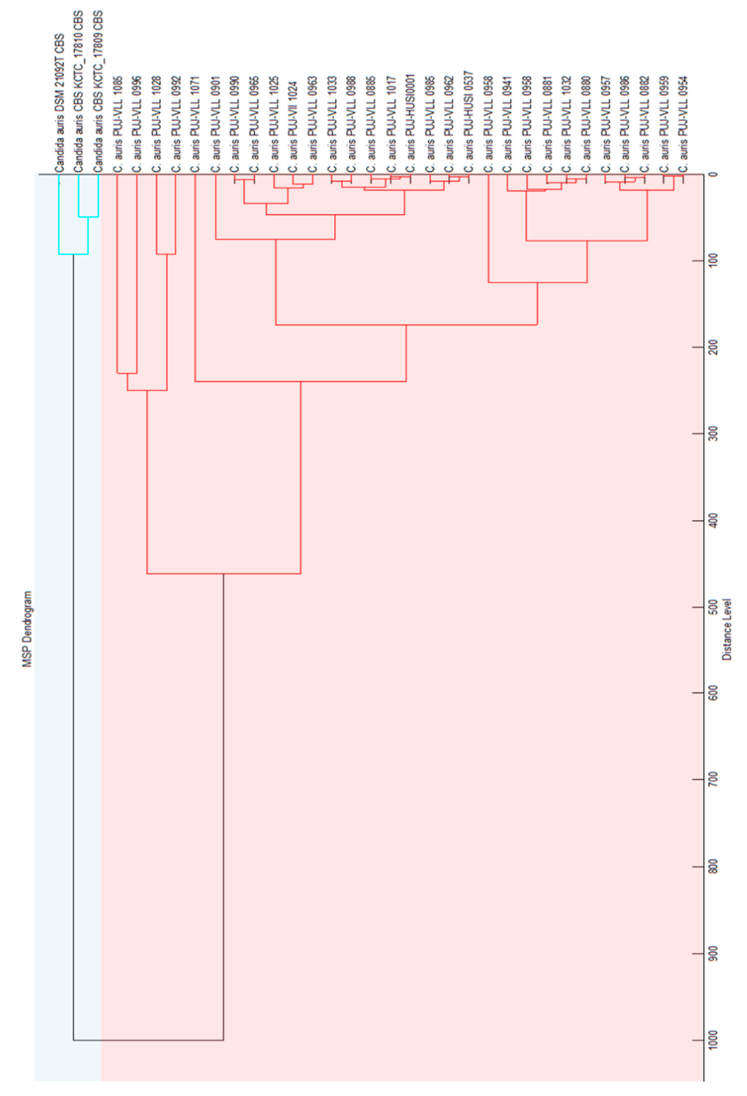 Jof 06 00072 g002 Jof 06 00072 g002