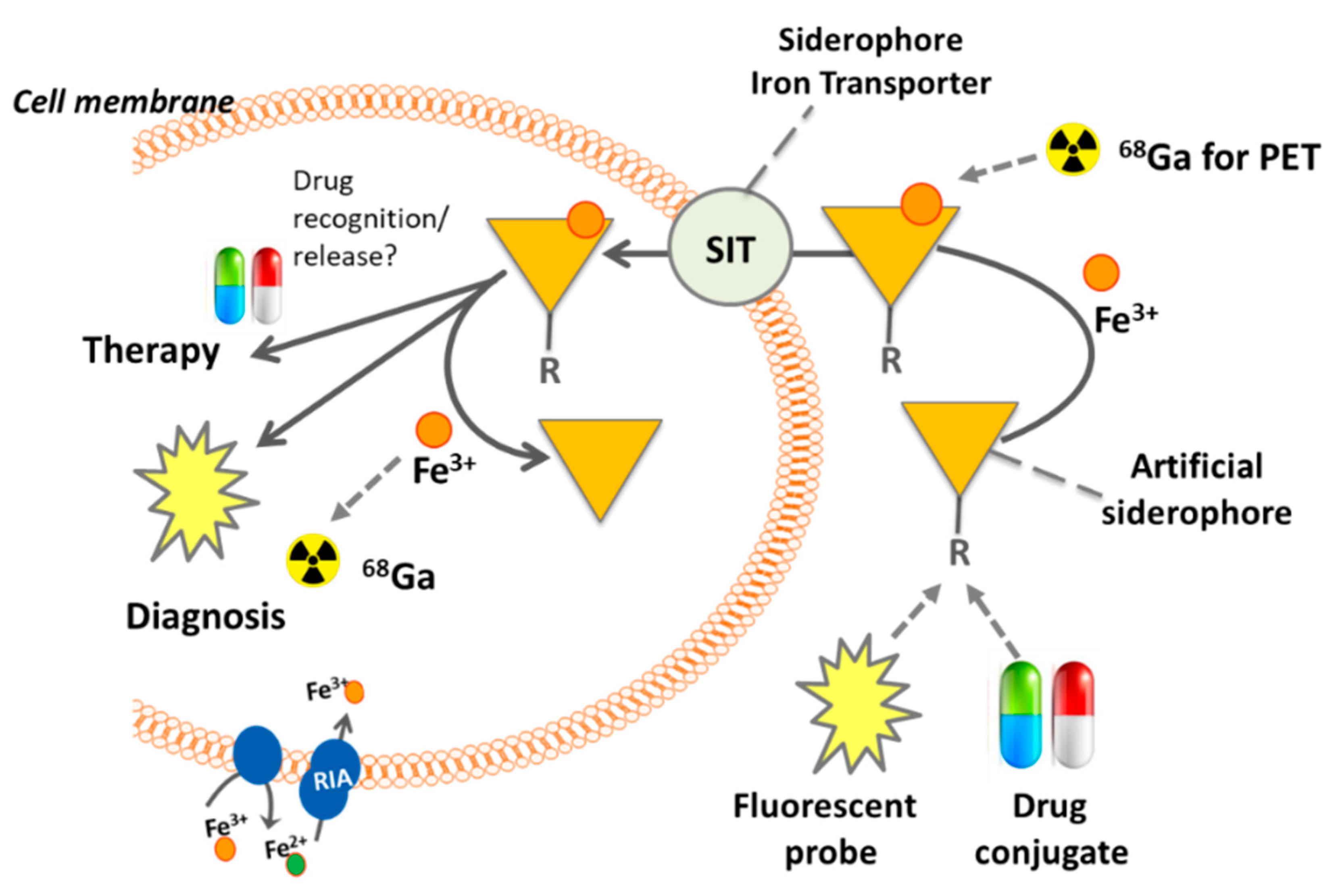 Jof 06 00073 g002 Jof 06 00073 g002