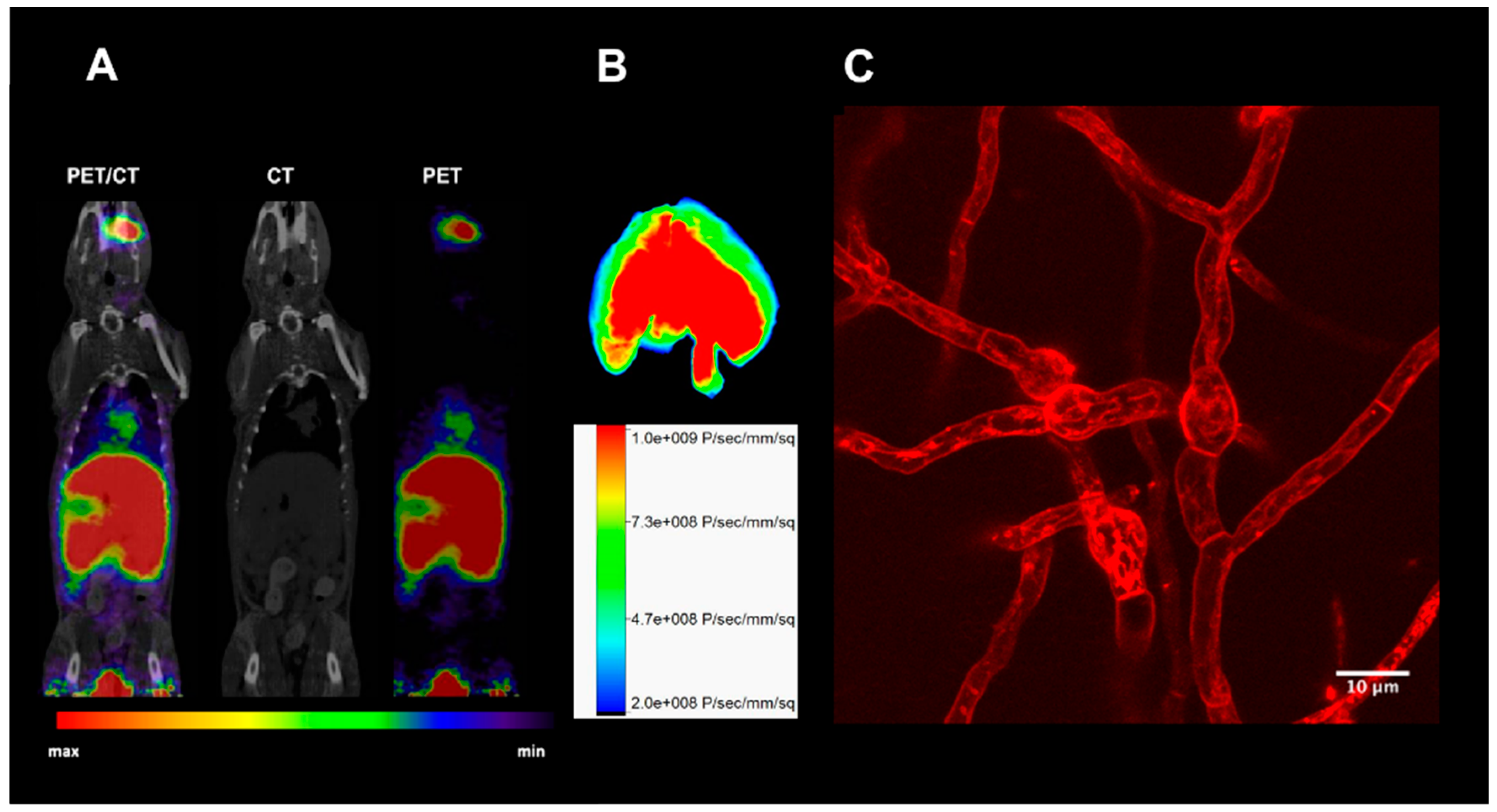 Jof 06 00073 g003 Jof 06 00073 g003