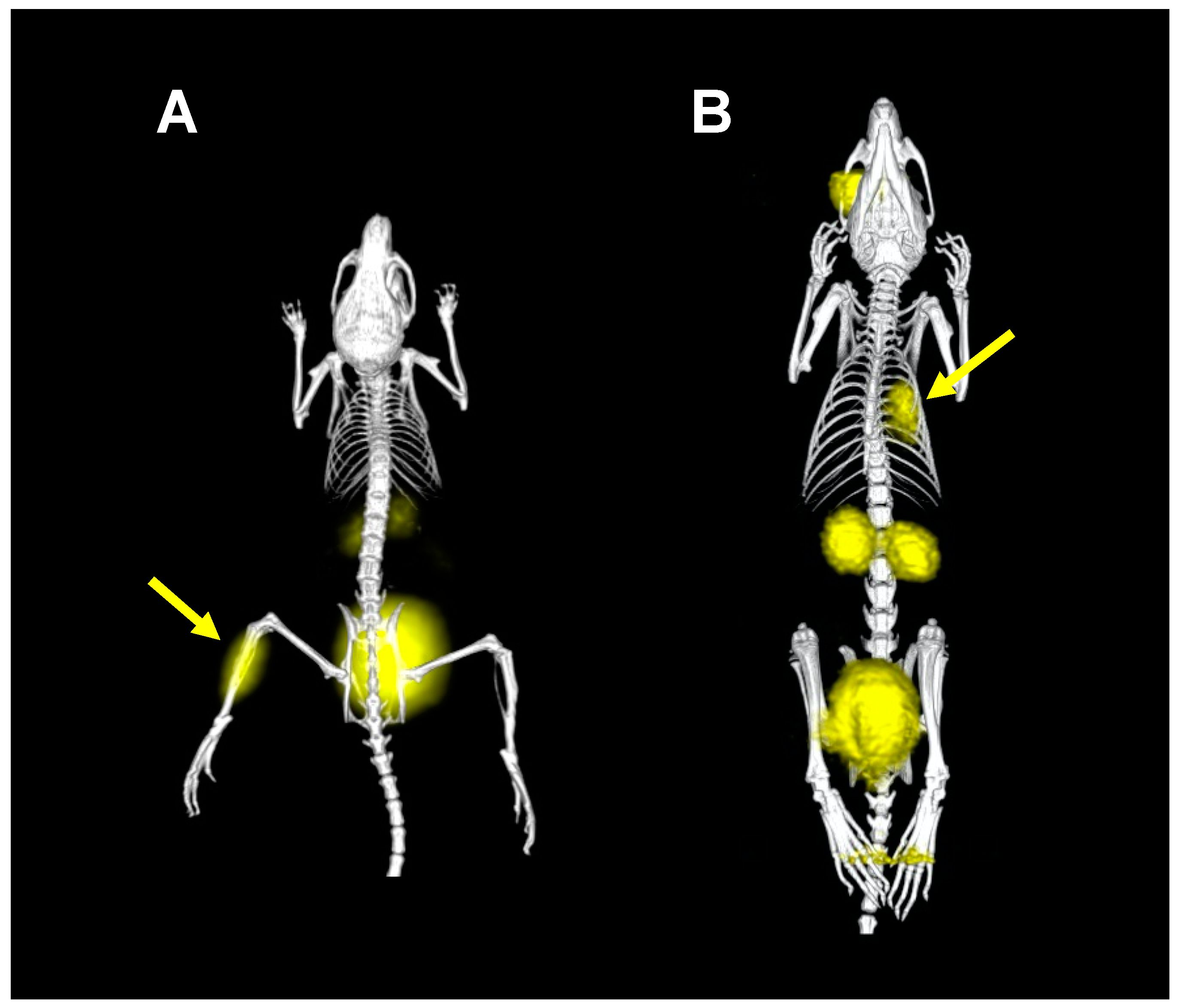 Jof 06 00073 g004 Jof 06 00073 g004
