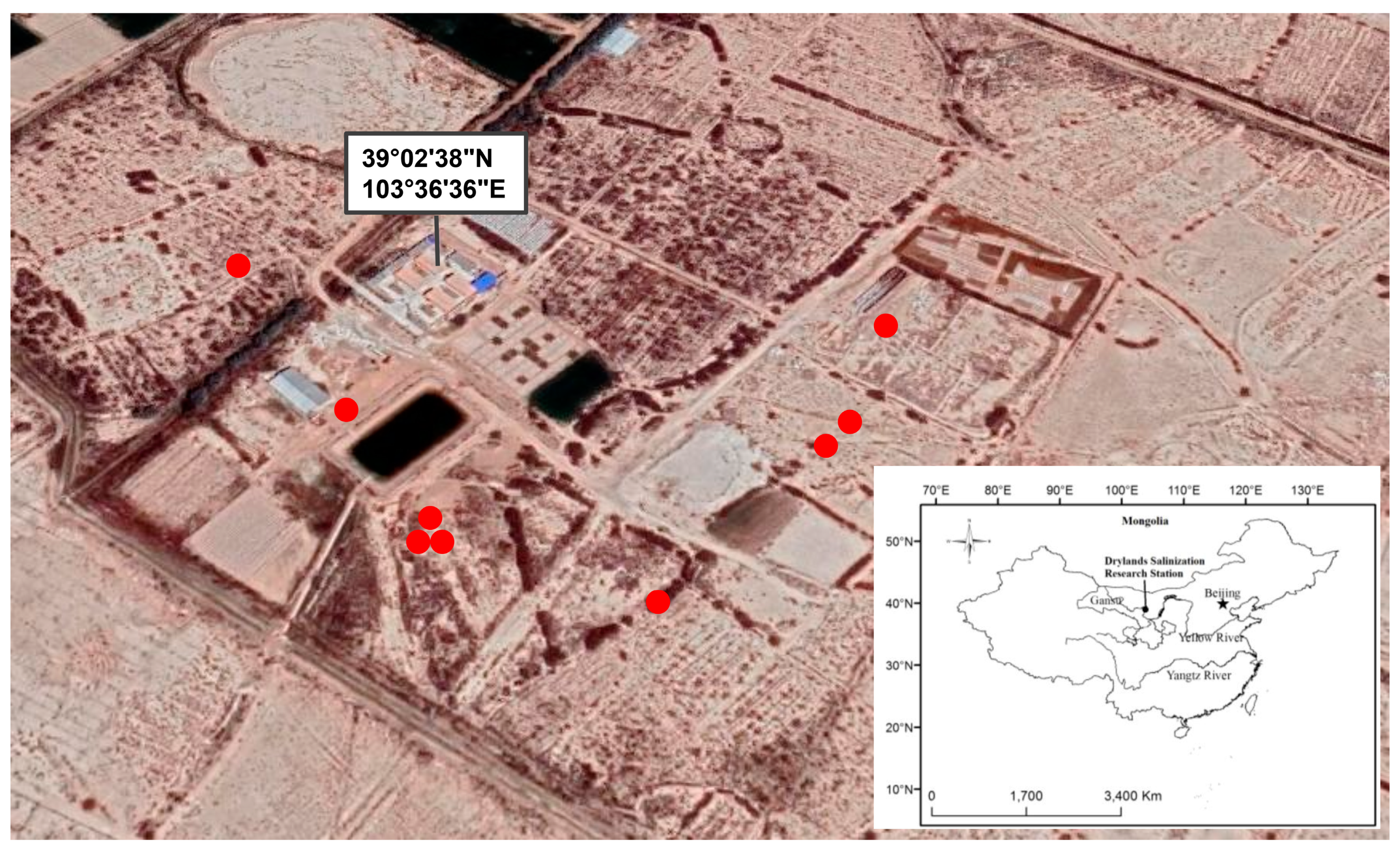 Jof 06 00080 g001 Jof 06 00080 g001