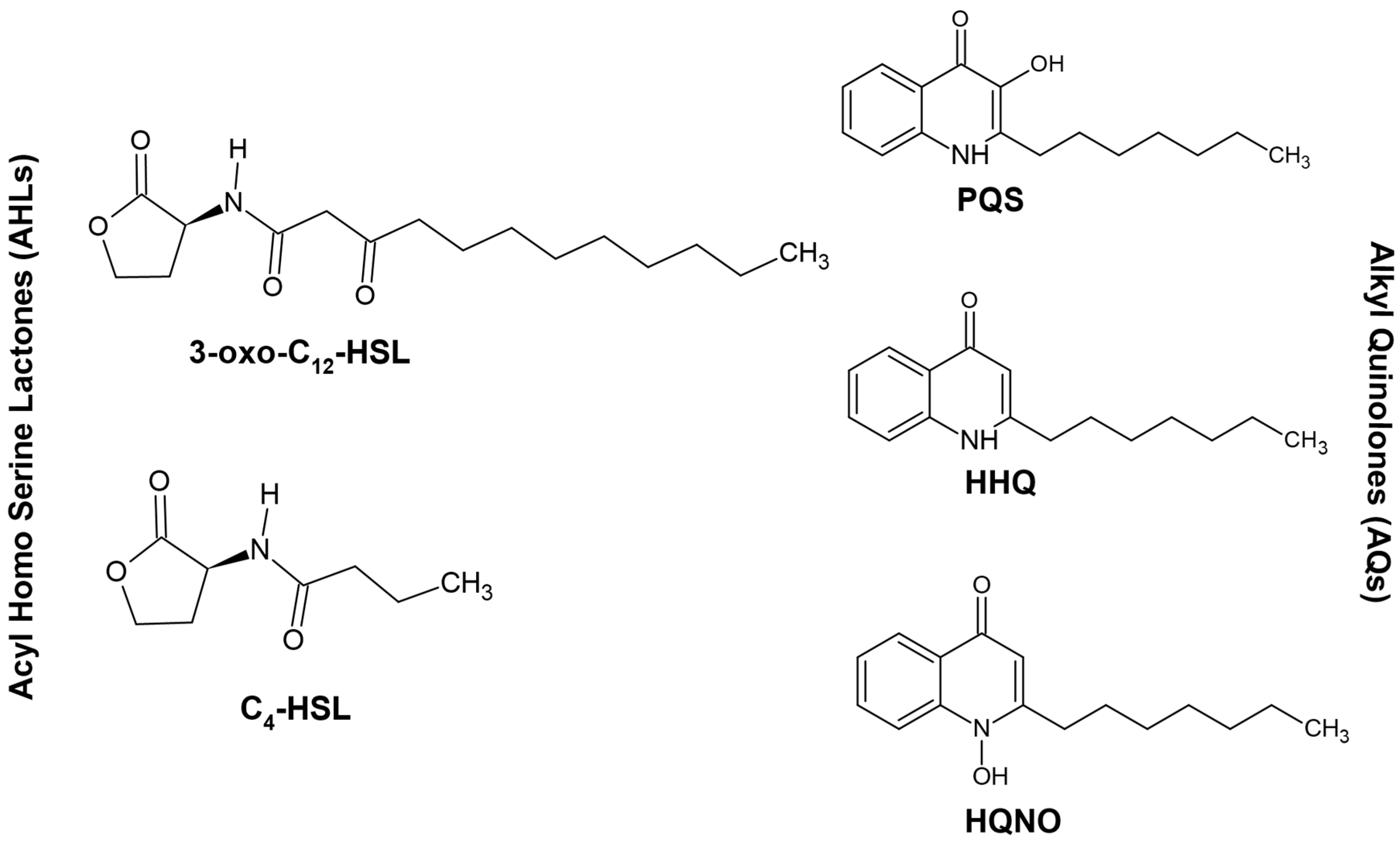 Jof 06 00081 g001 Jof 06 00081 g001