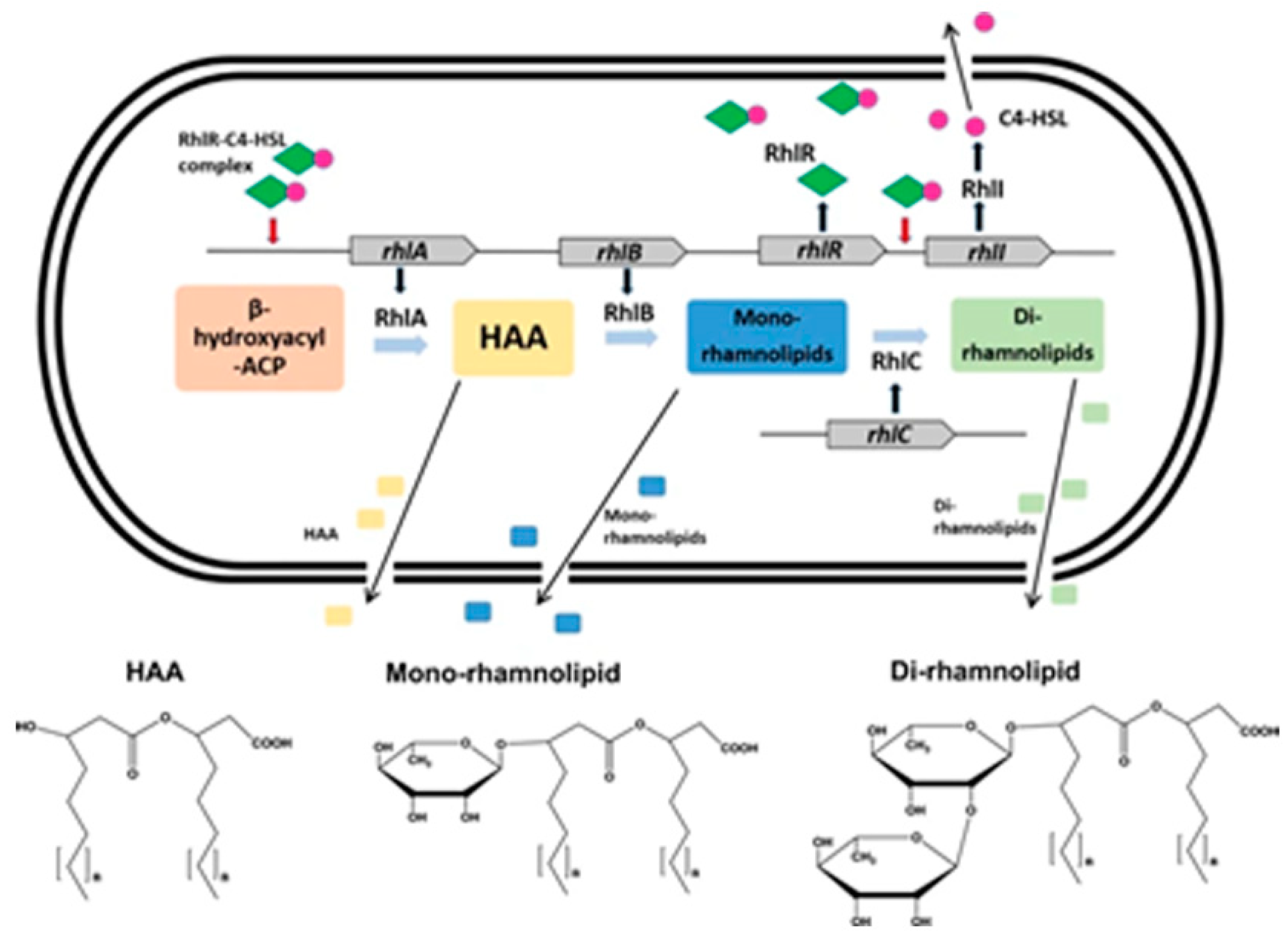 Jof 06 00081 g003 Jof 06 00081 g003