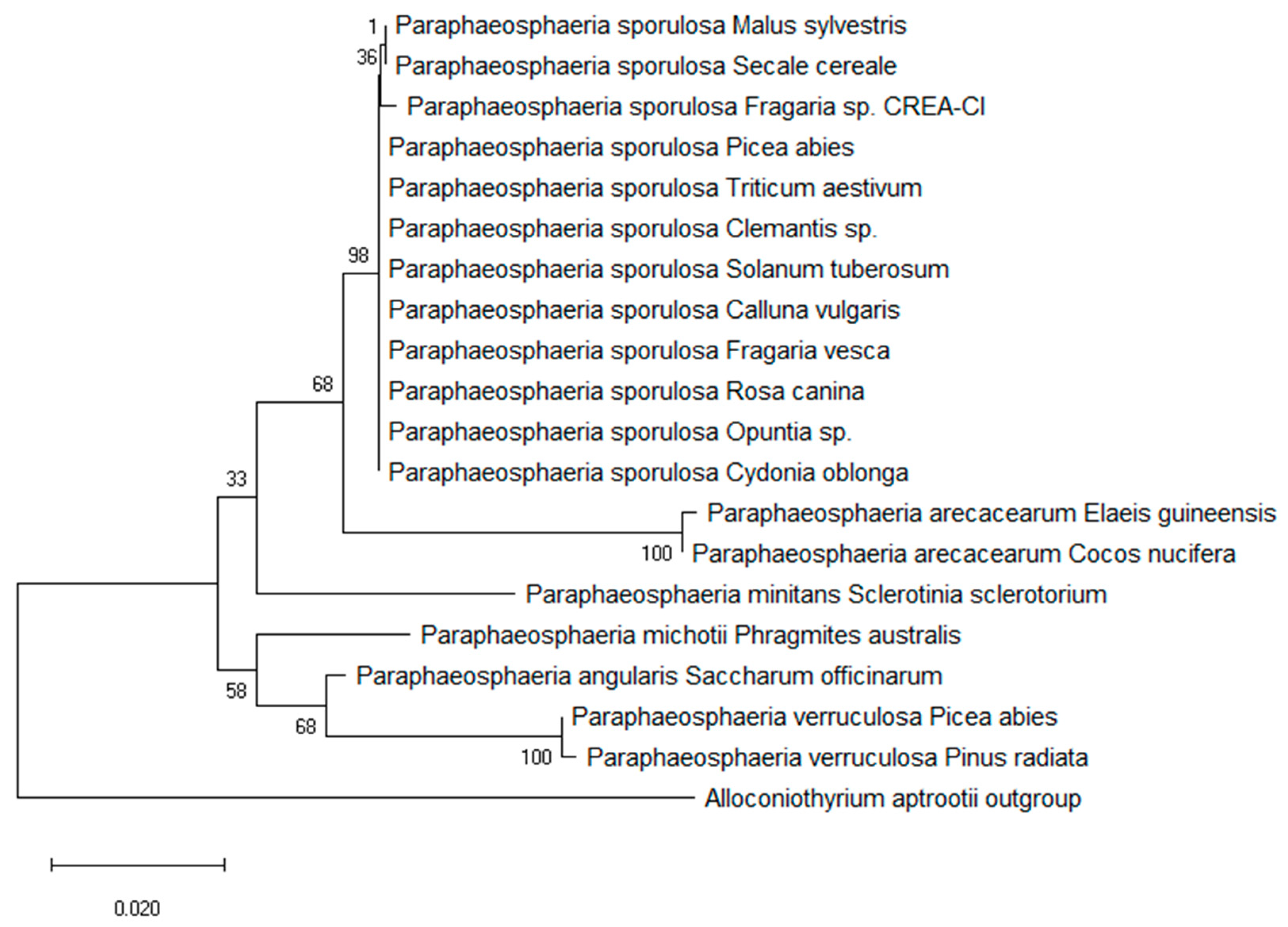 Jof 06 00083 g001 Jof 06 00083 g001
