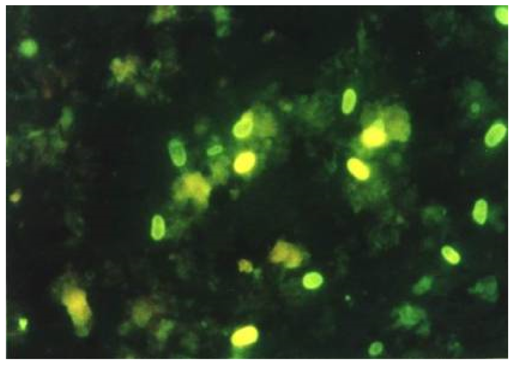 Jof 06 00114 g001 Jof 06 00114 g001