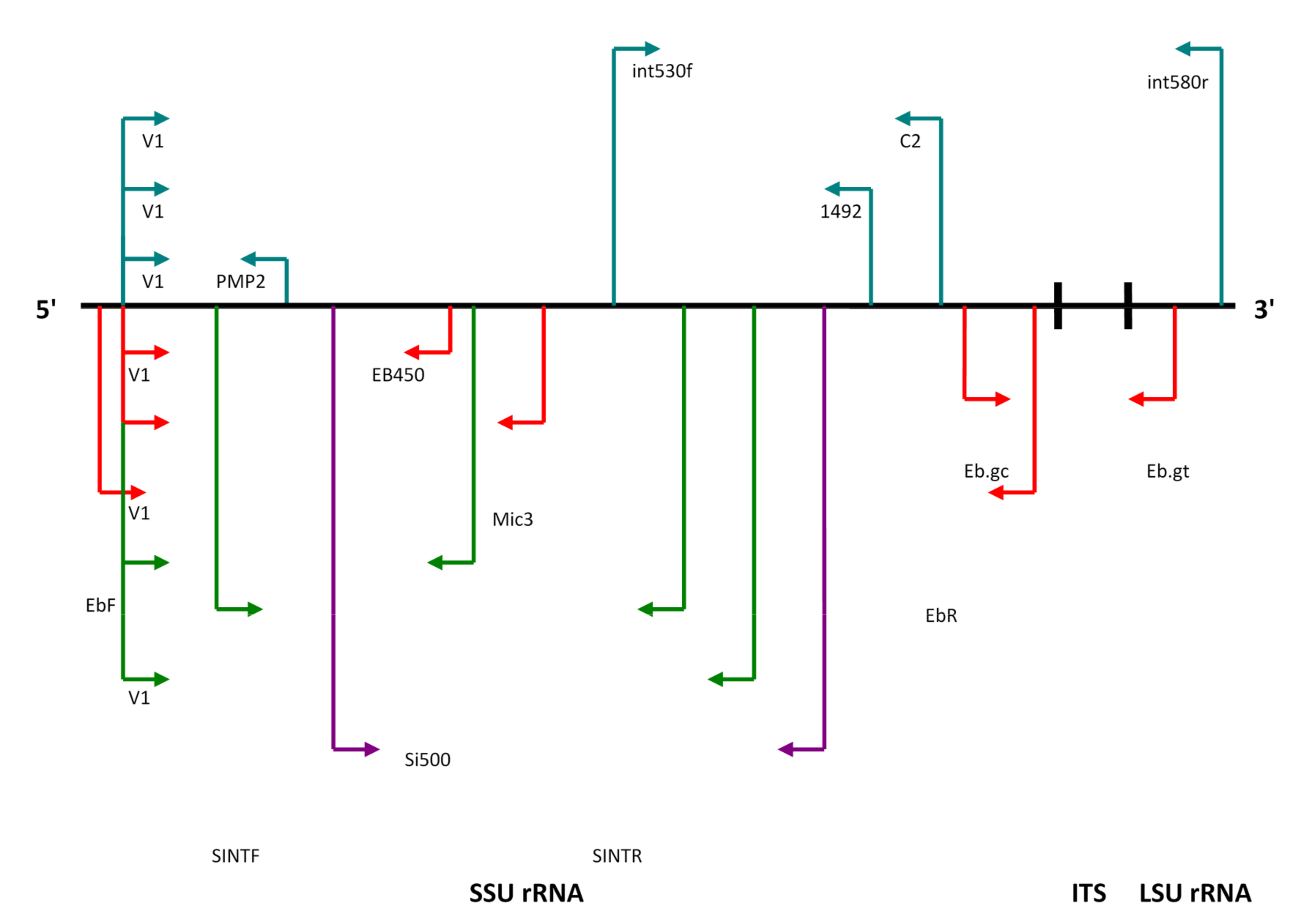 Jof 06 00114 g003 Jof 06 00114 g003