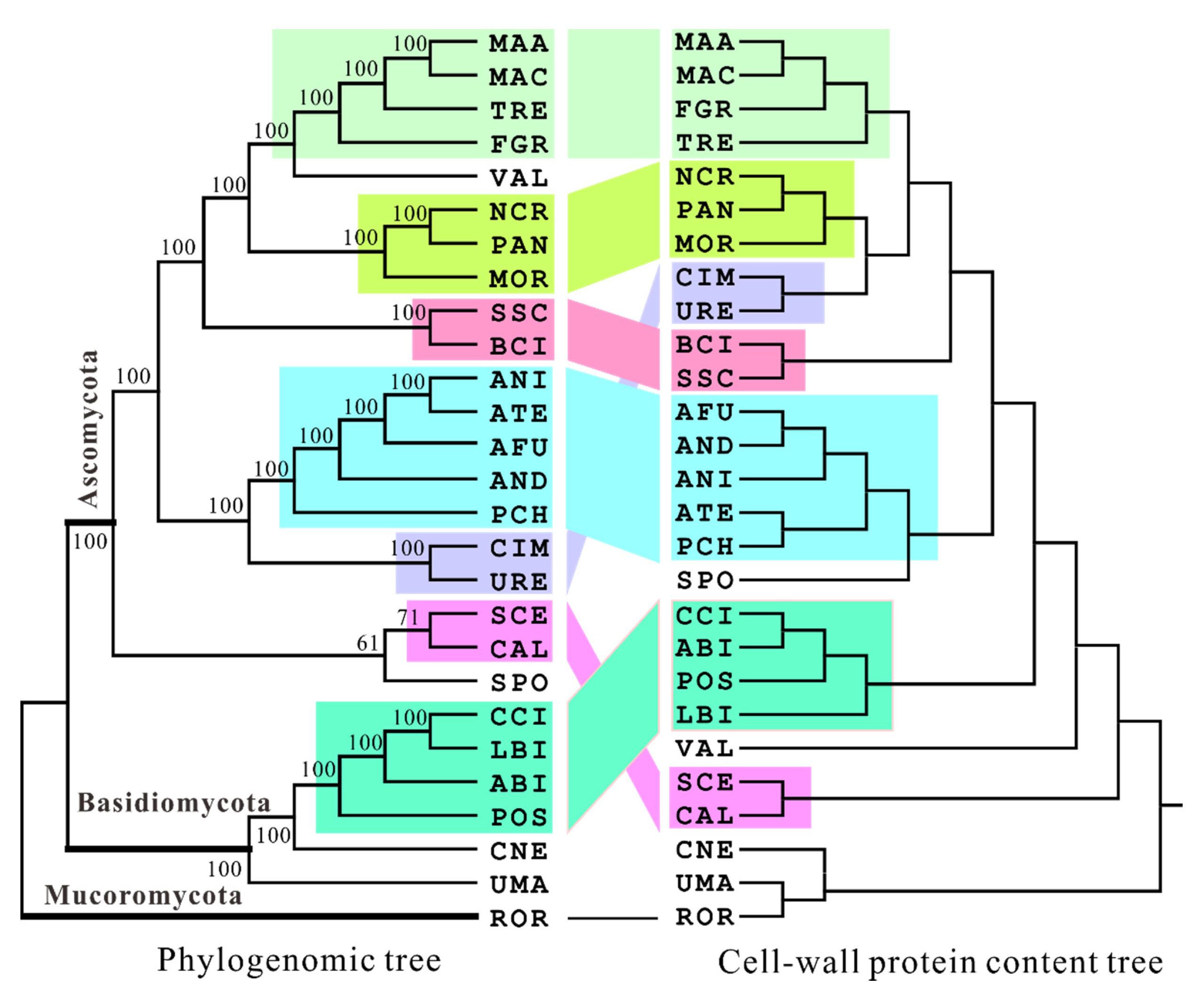 Jof 06 00134 g002 Jof 06 00134 g002