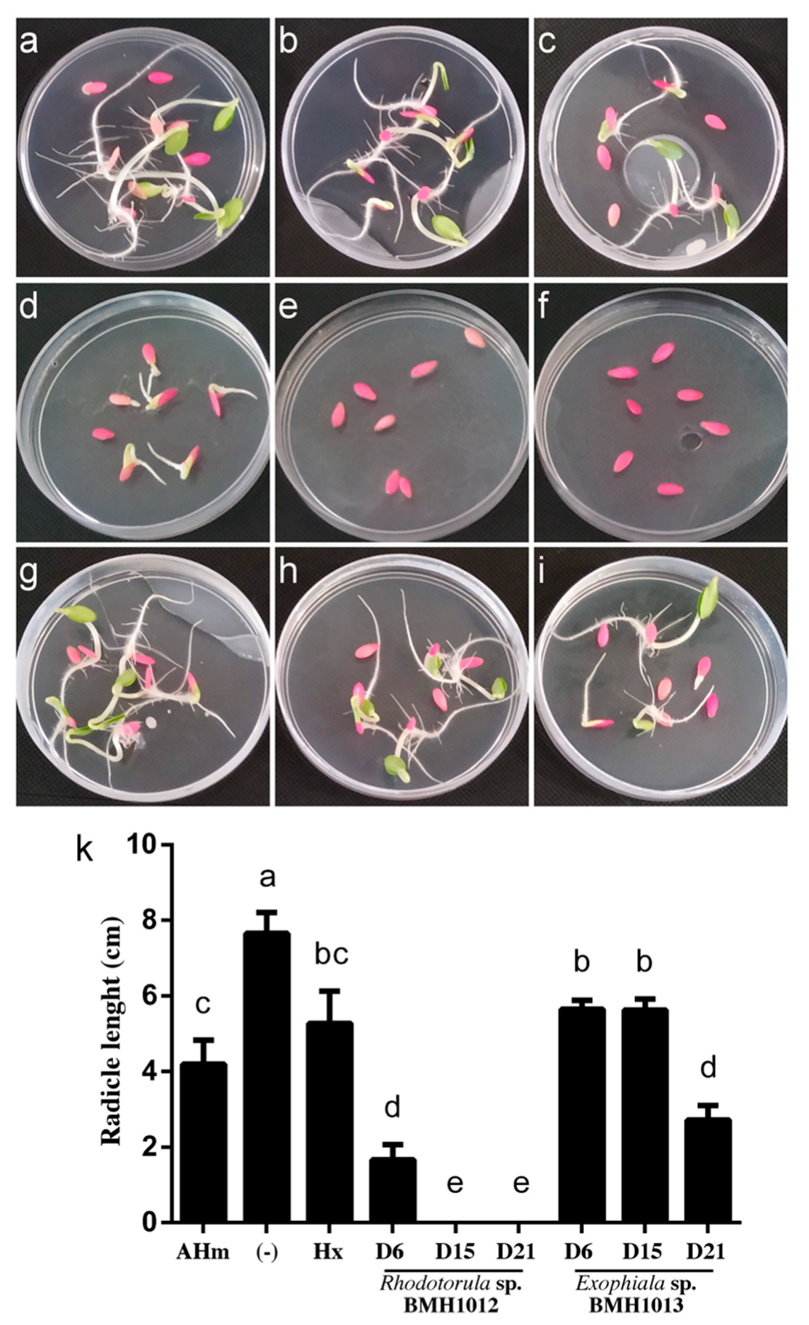 Jof 06 00135 g007 Jof 06 00135 g007