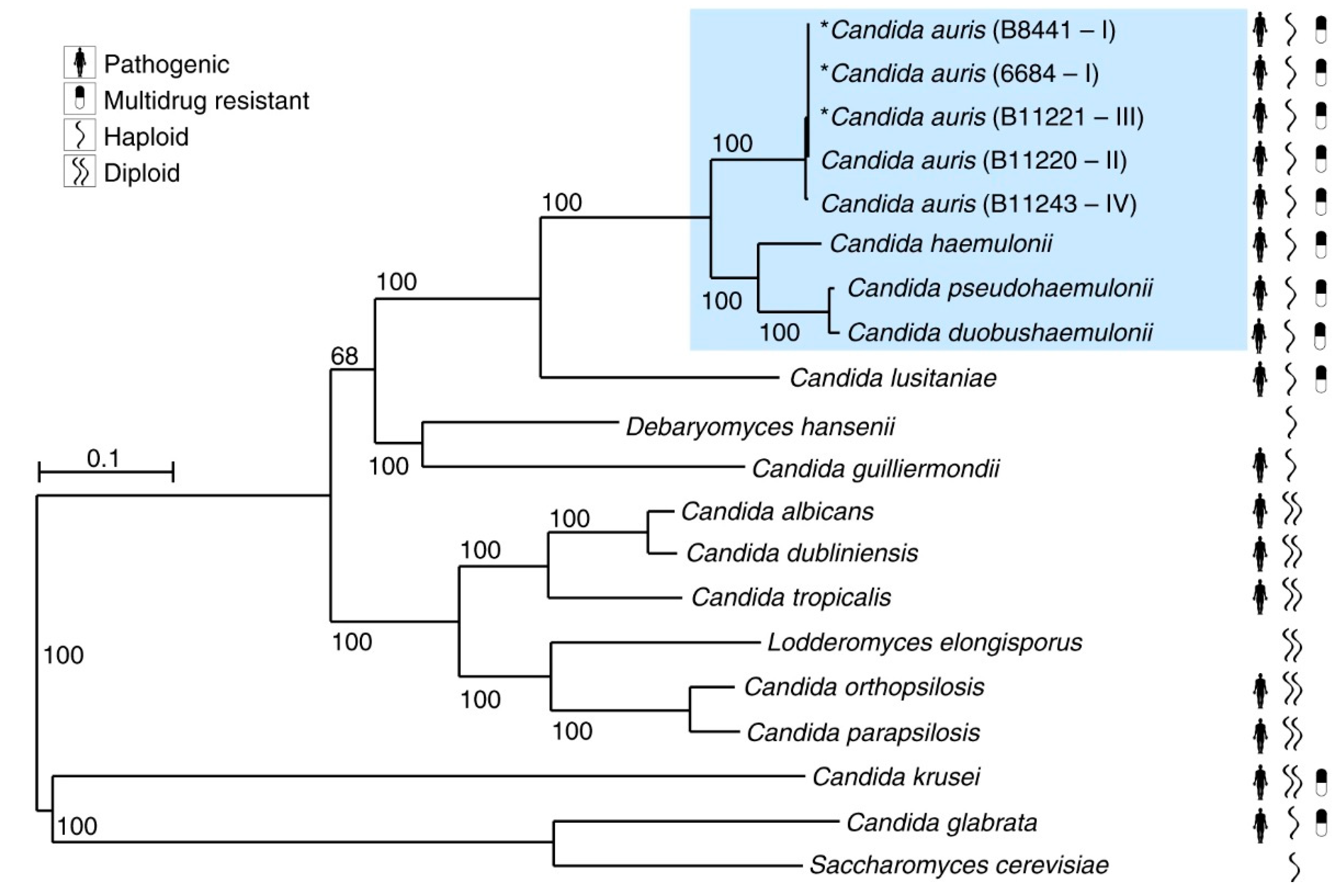 Jof 06 00138 g001 Jof 06 00138 g001