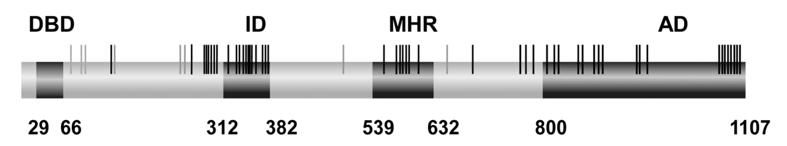 Jof 06 00138 g003 Jof 06 00138 g003