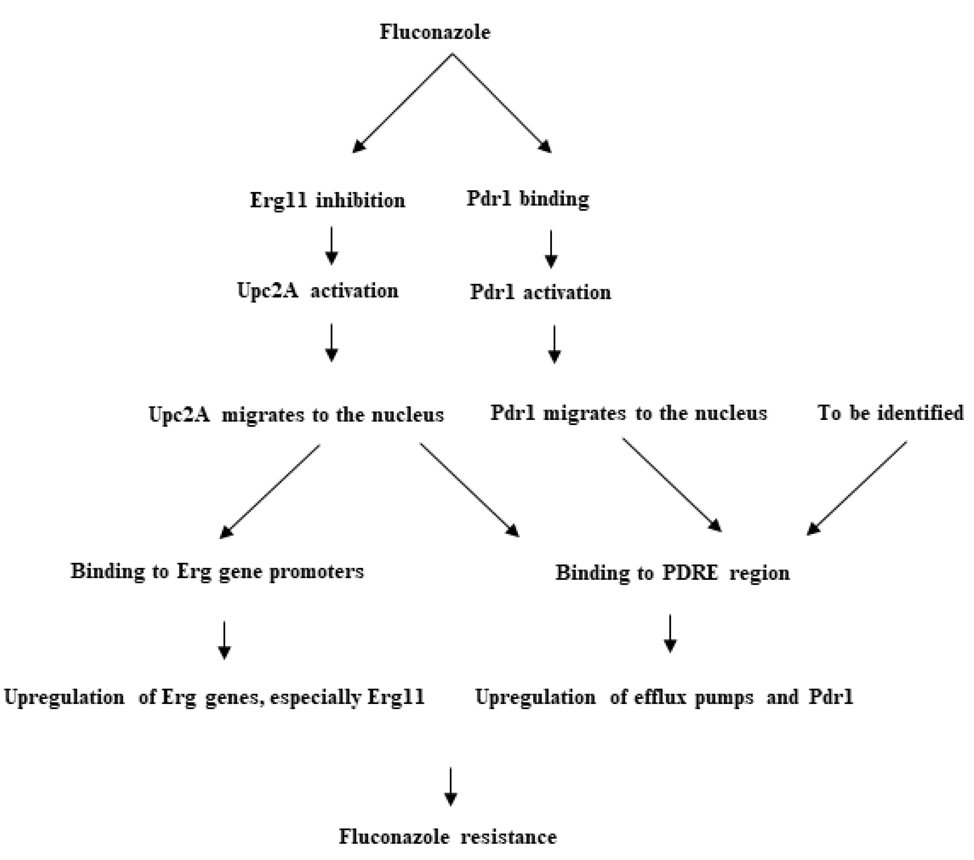Jof 06 00138 g004 Jof 06 00138 g004
