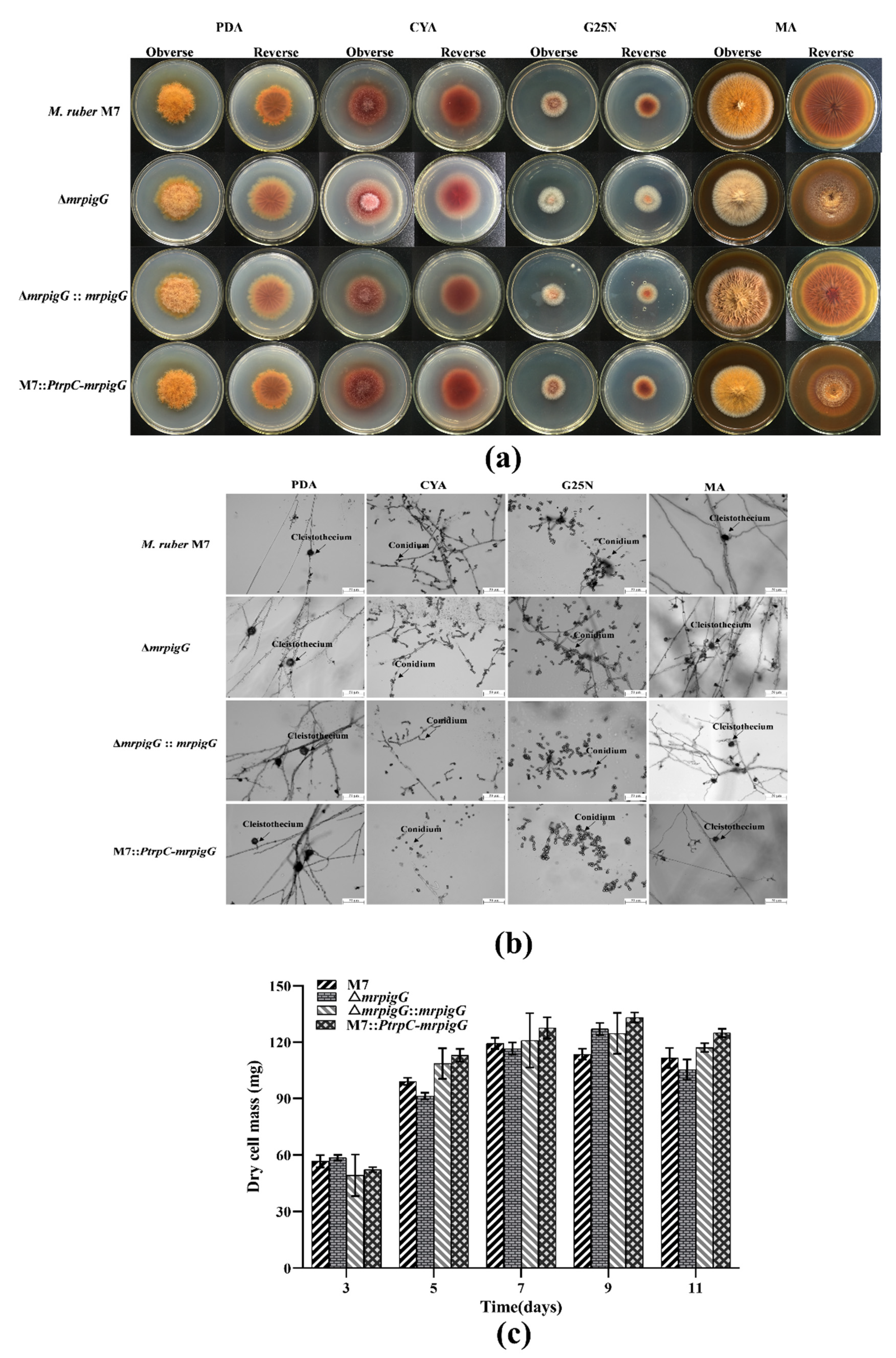 Jof 06 00156 g005 Jof 06 00156 g005