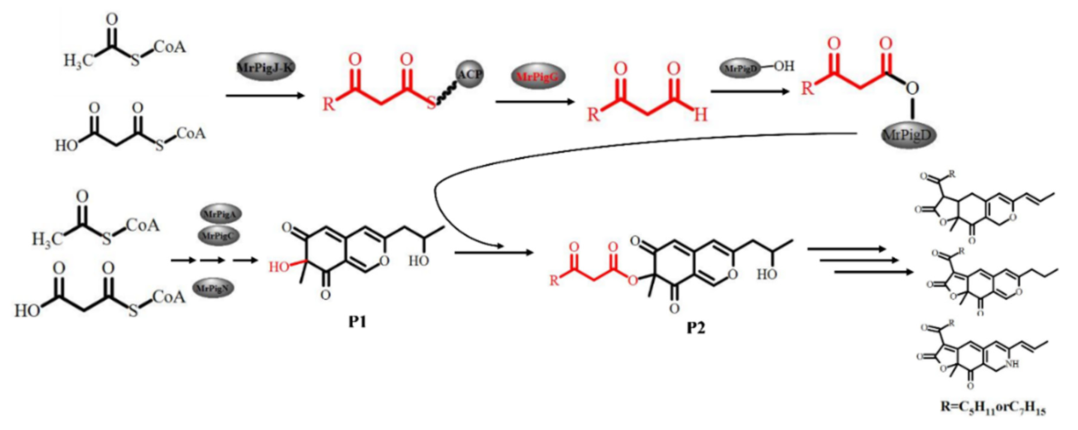 Jof 06 00156 g008 Jof 06 00156 g008