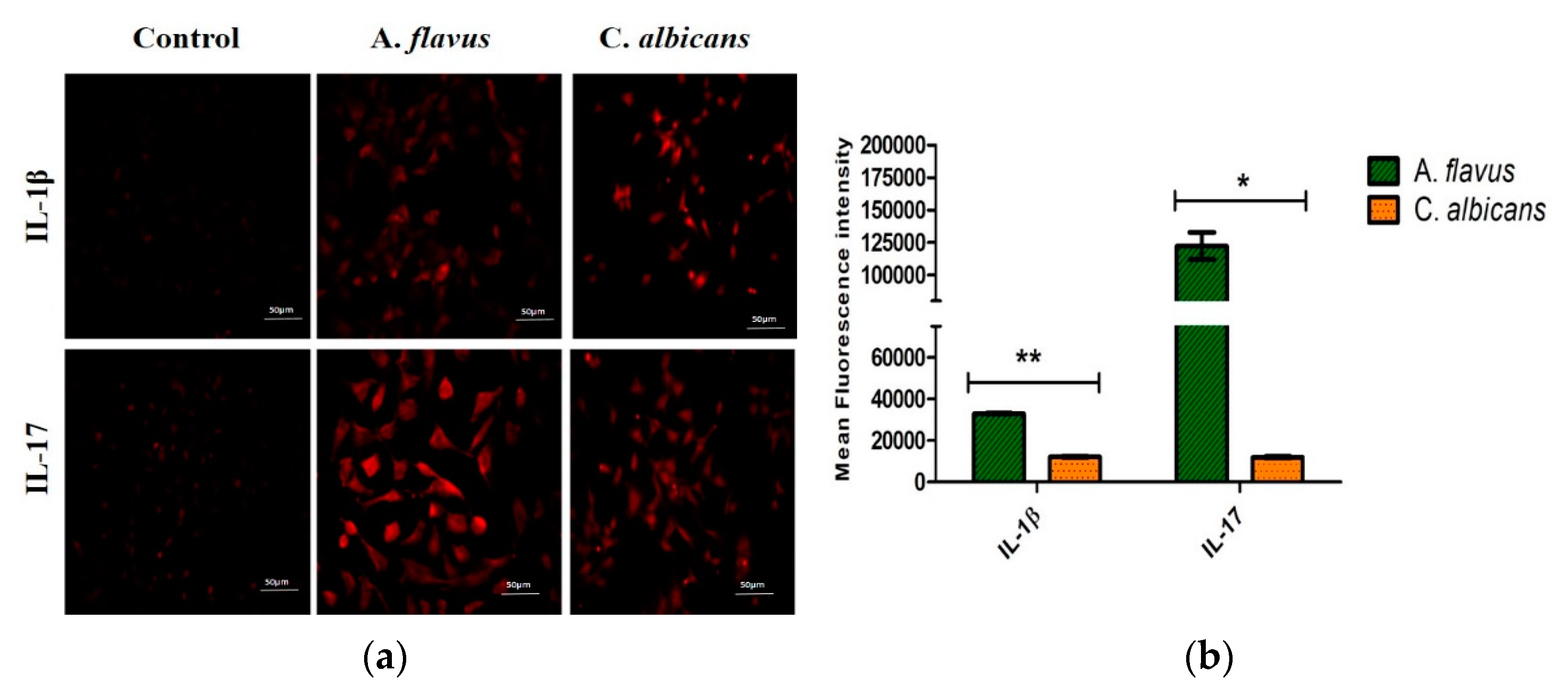 Jof 06 00162 g005 Jof 06 00162 g005
