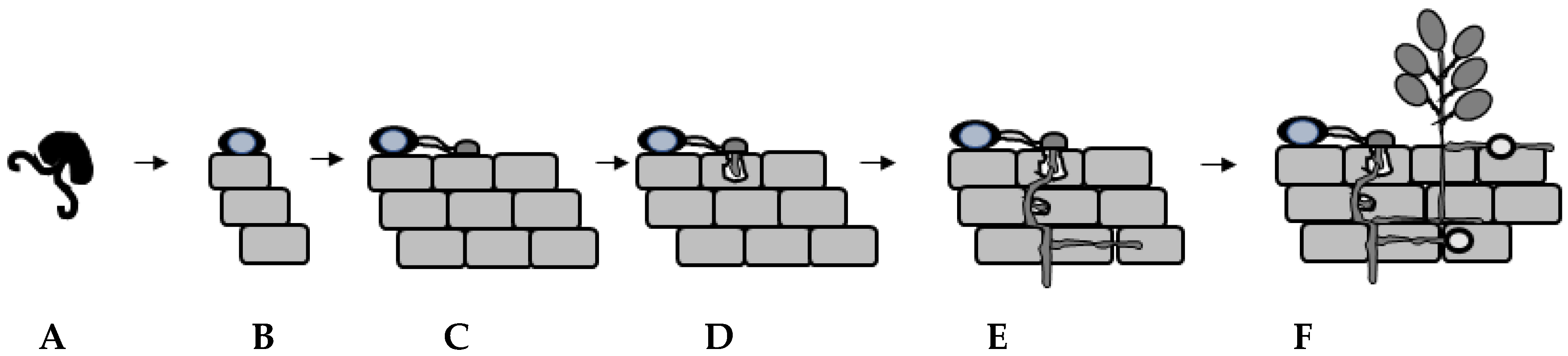 Jof 06 00167 g002 Jof 06 00167 g002