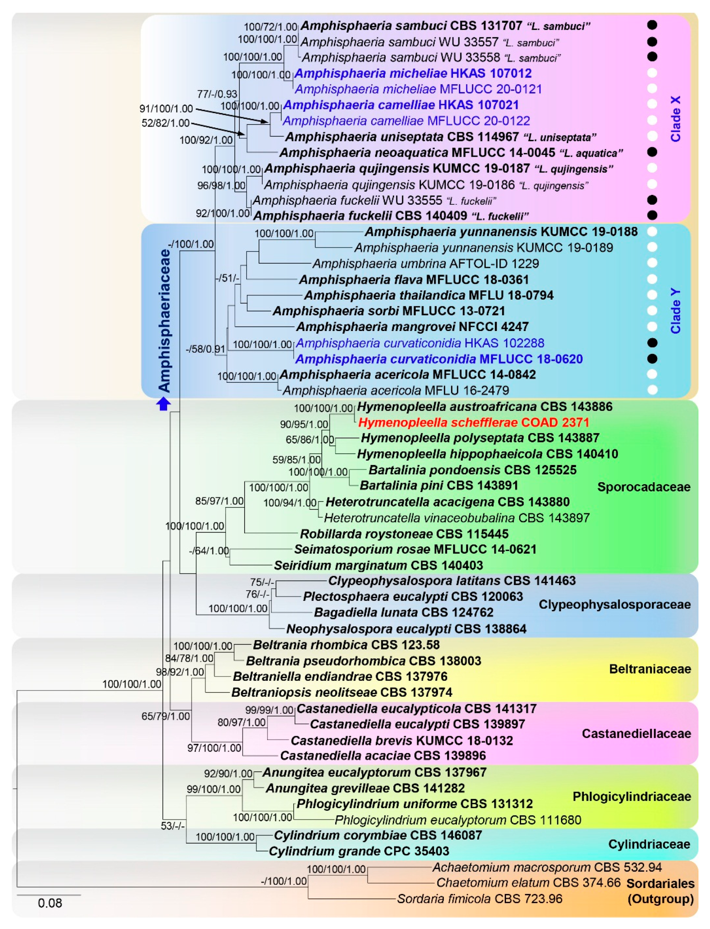 Jof 06 00174 g001 Jof 06 00174 g001