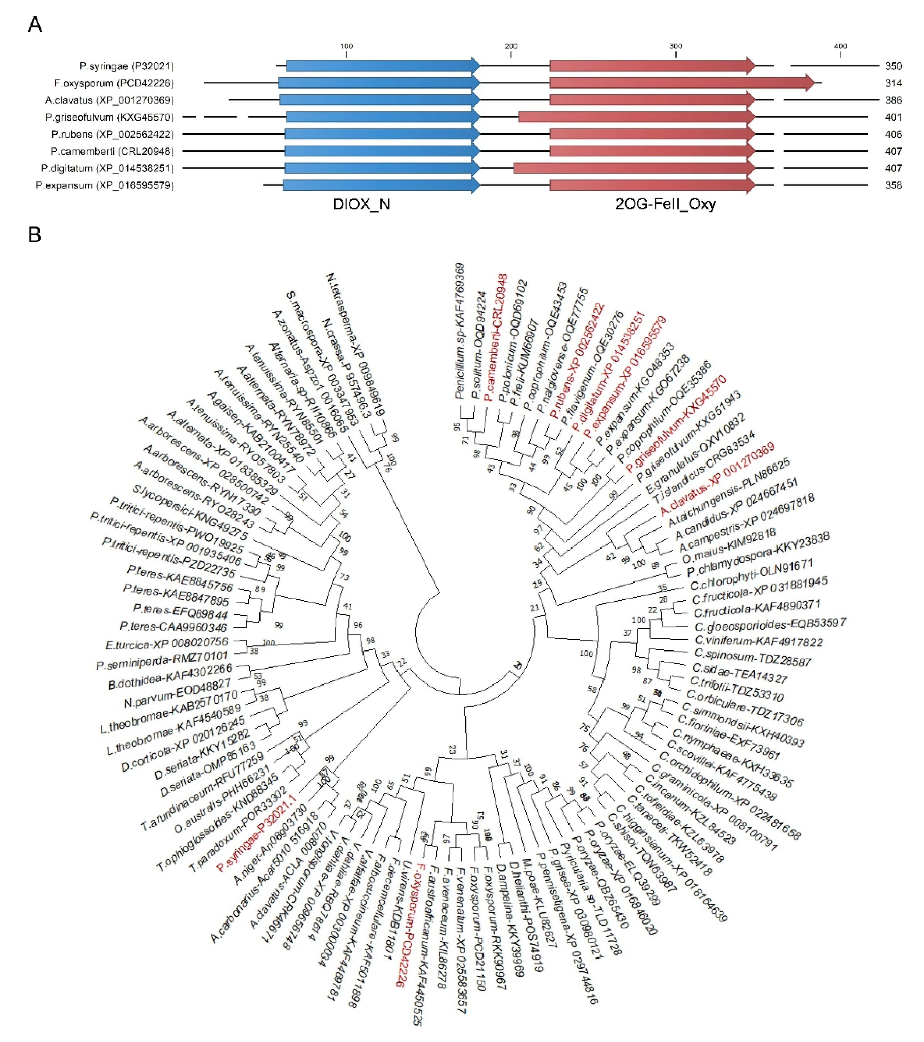 Jof 06 00175 g001 Jof 06 00175 g001