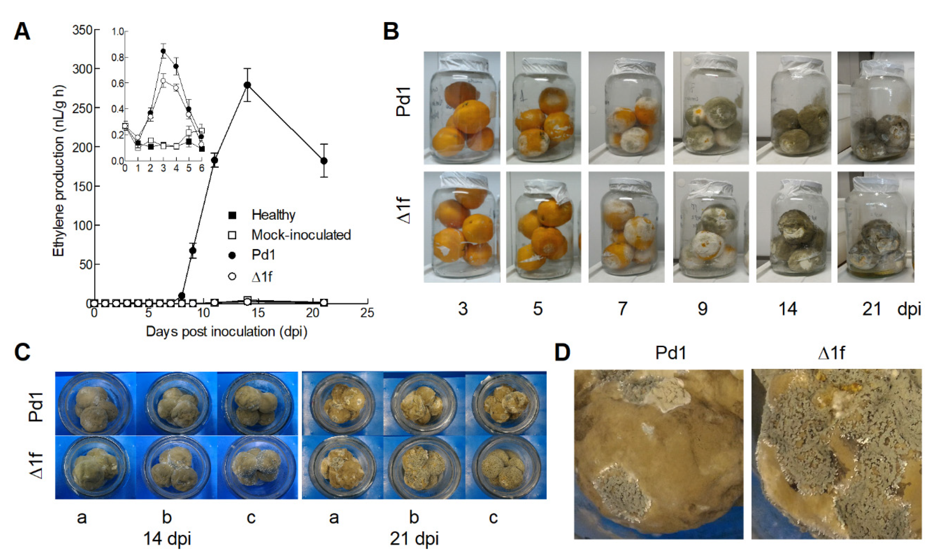 Jof 06 00175 g006 Jof 06 00175 g006