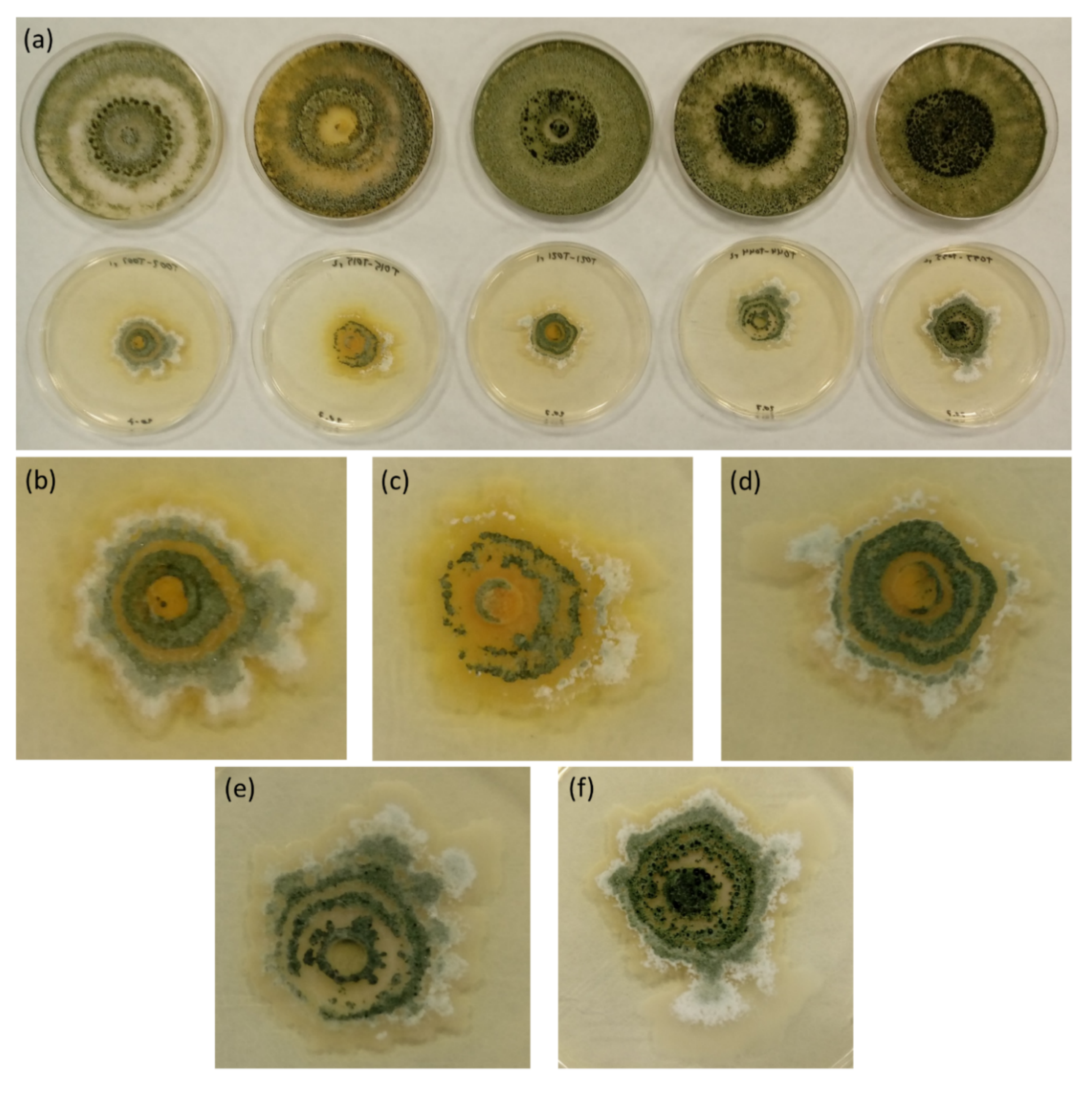 Jof 06 00176 g003 Jof 06 00176 g003