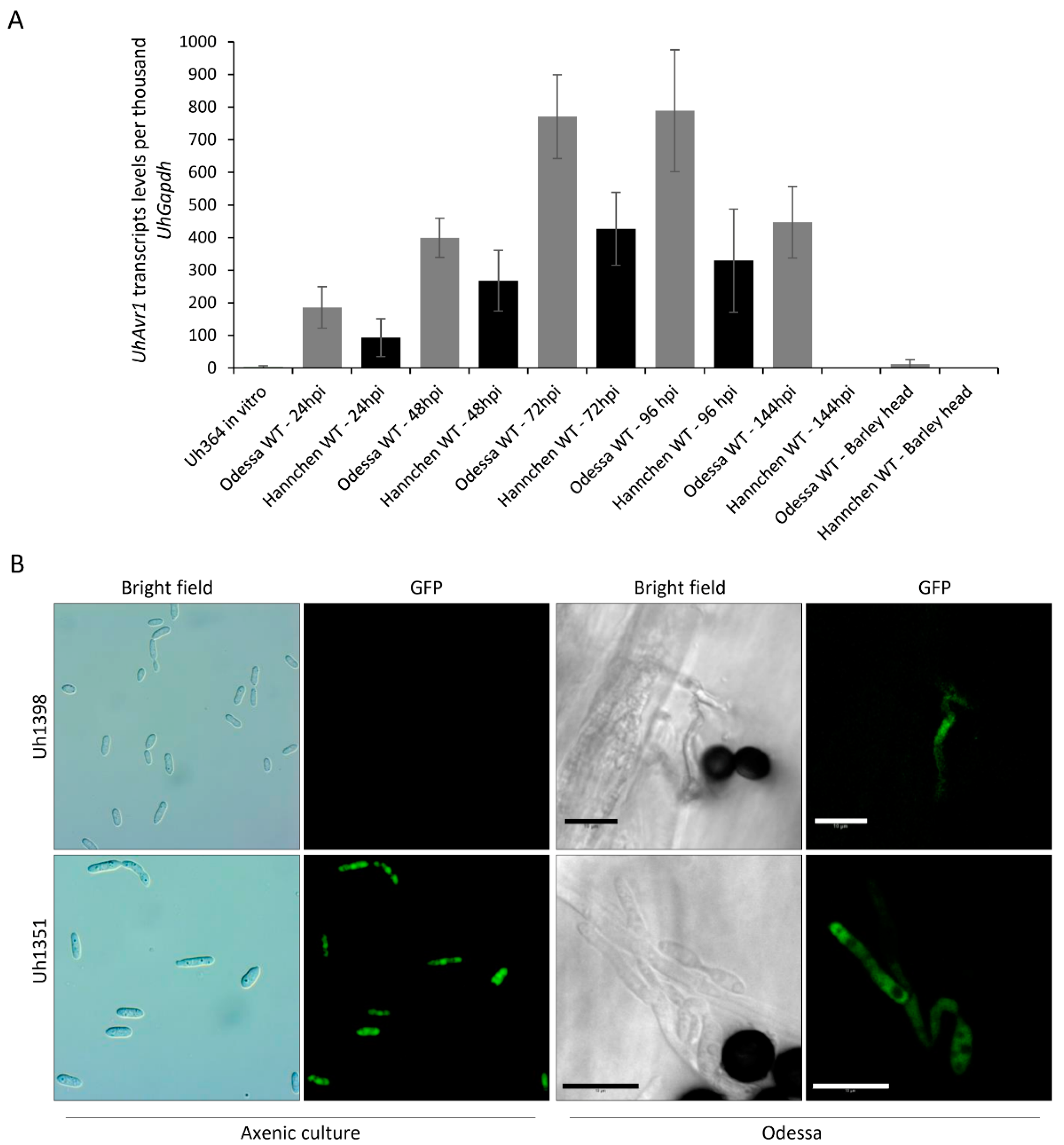 Jof 06 00178 g003 Jof 06 00178 g003