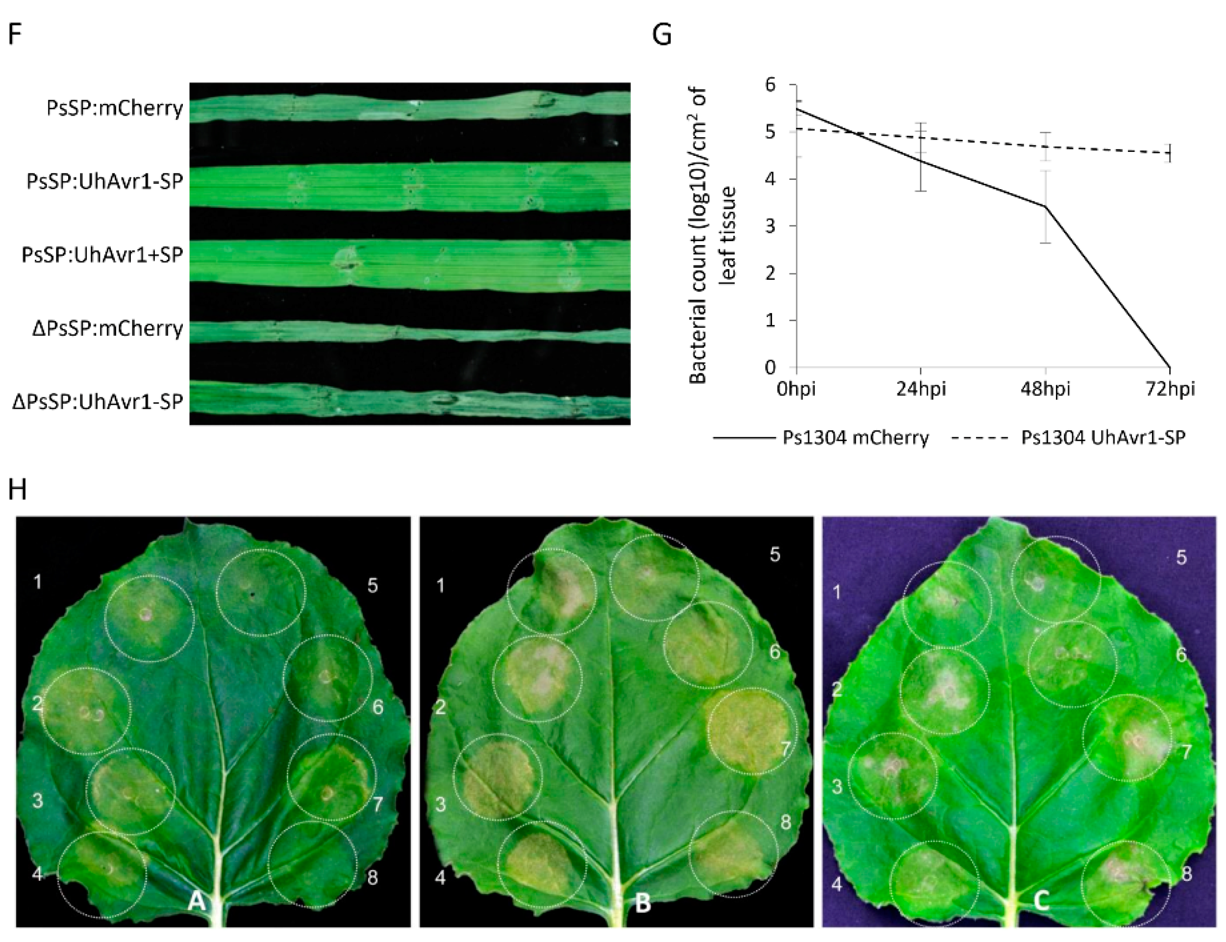 Jof 06 00178 g004b Jof 06 00178 g004b