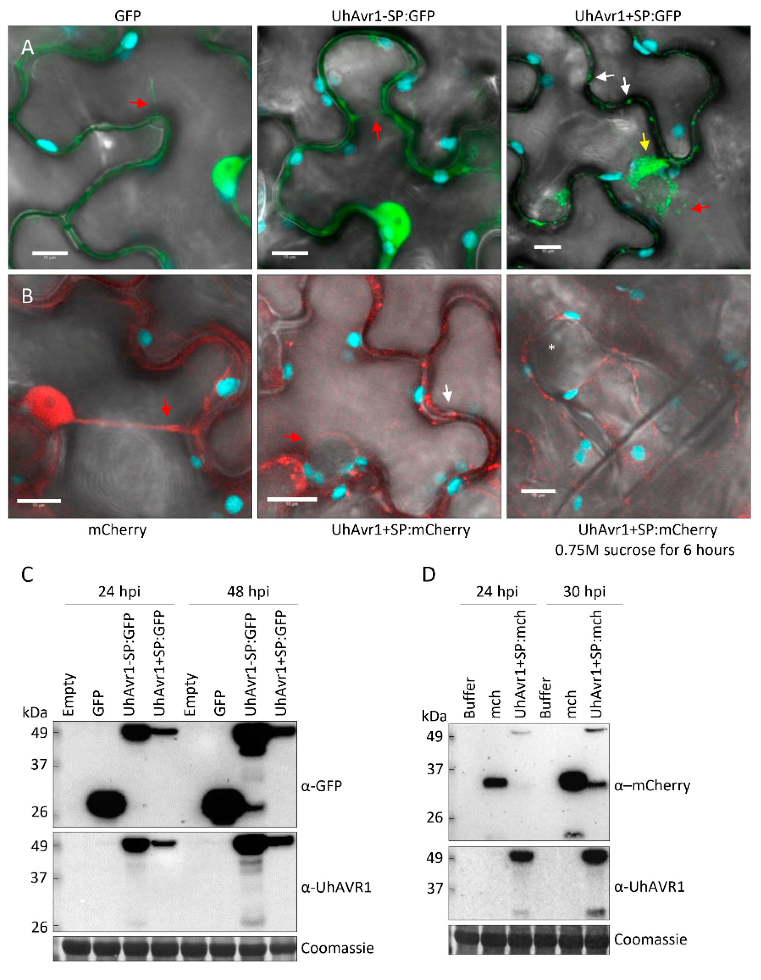 Jof 06 00178 g008 Jof 06 00178 g008