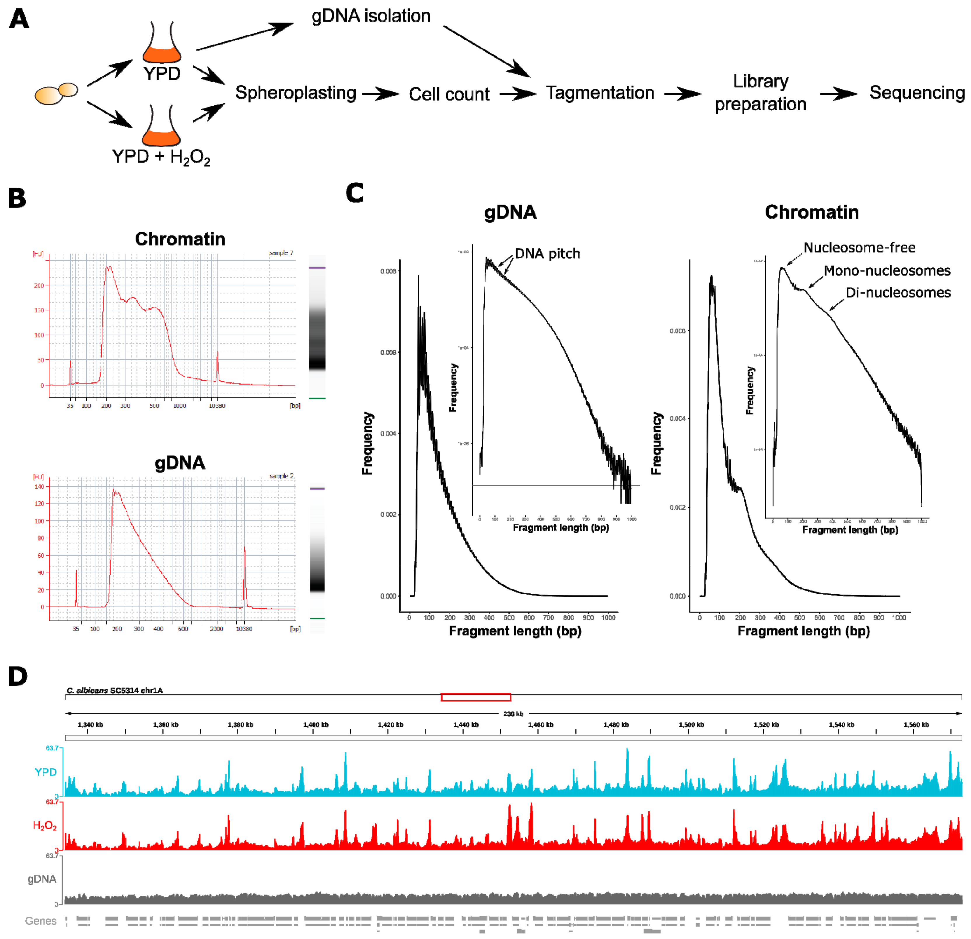 Jof 06 00182 g001 Jof 06 00182 g001