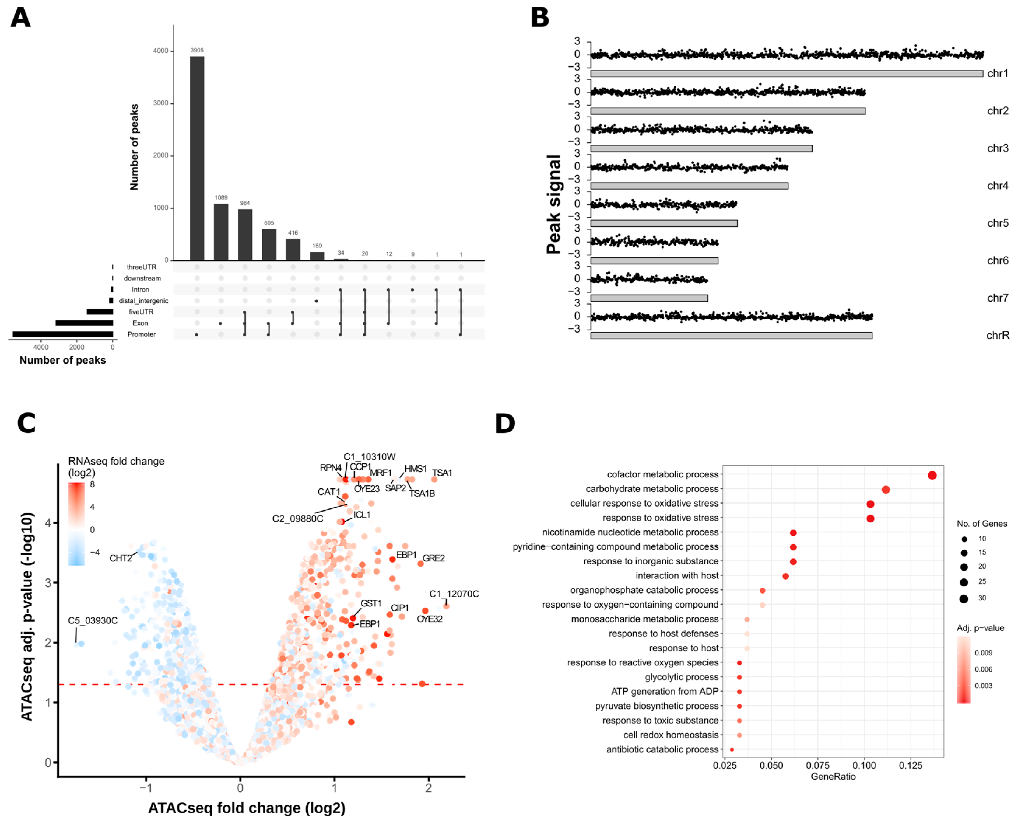 Jof 06 00182 g003 Jof 06 00182 g003