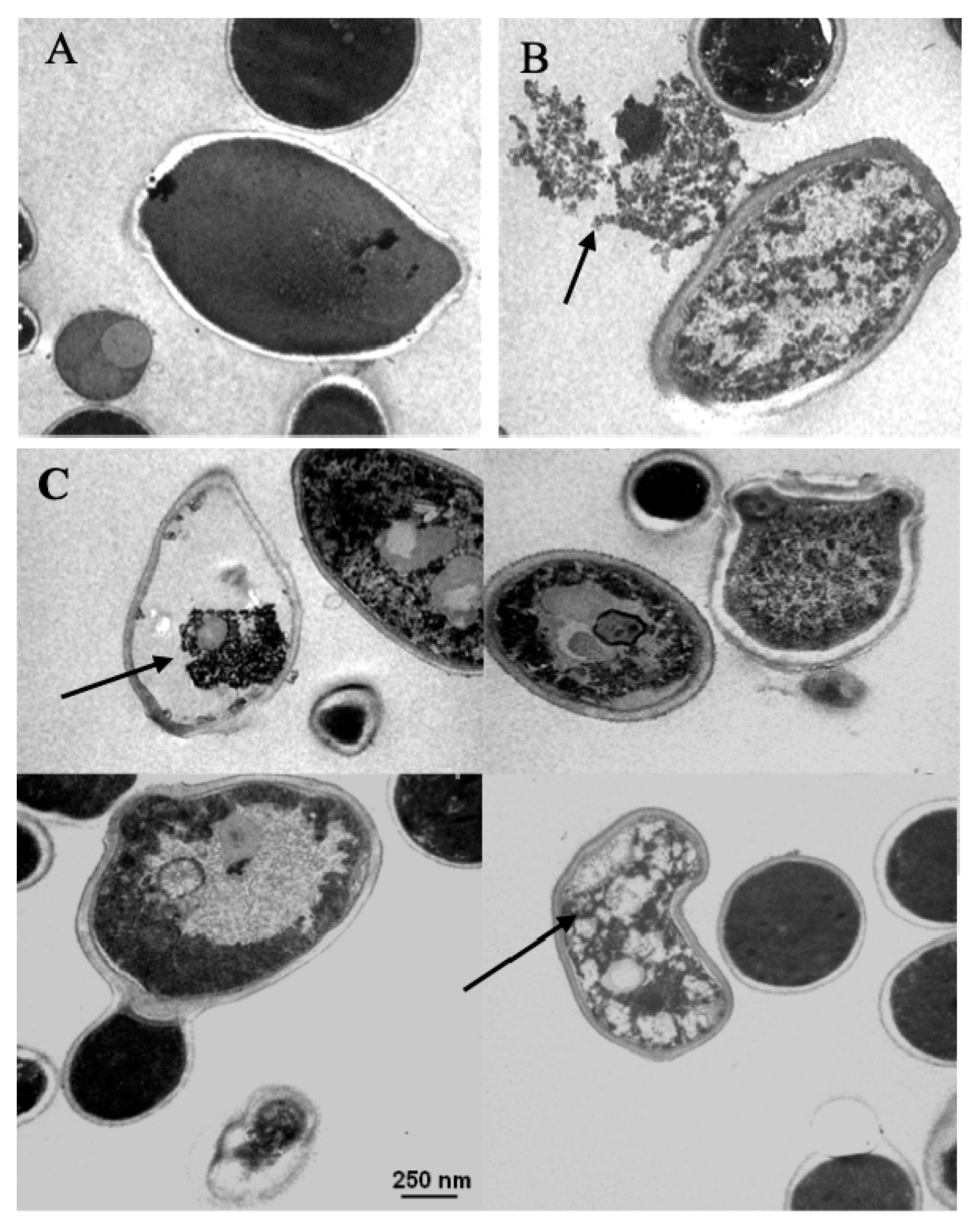 Jof 06 00183 g006 Jof 06 00183 g006