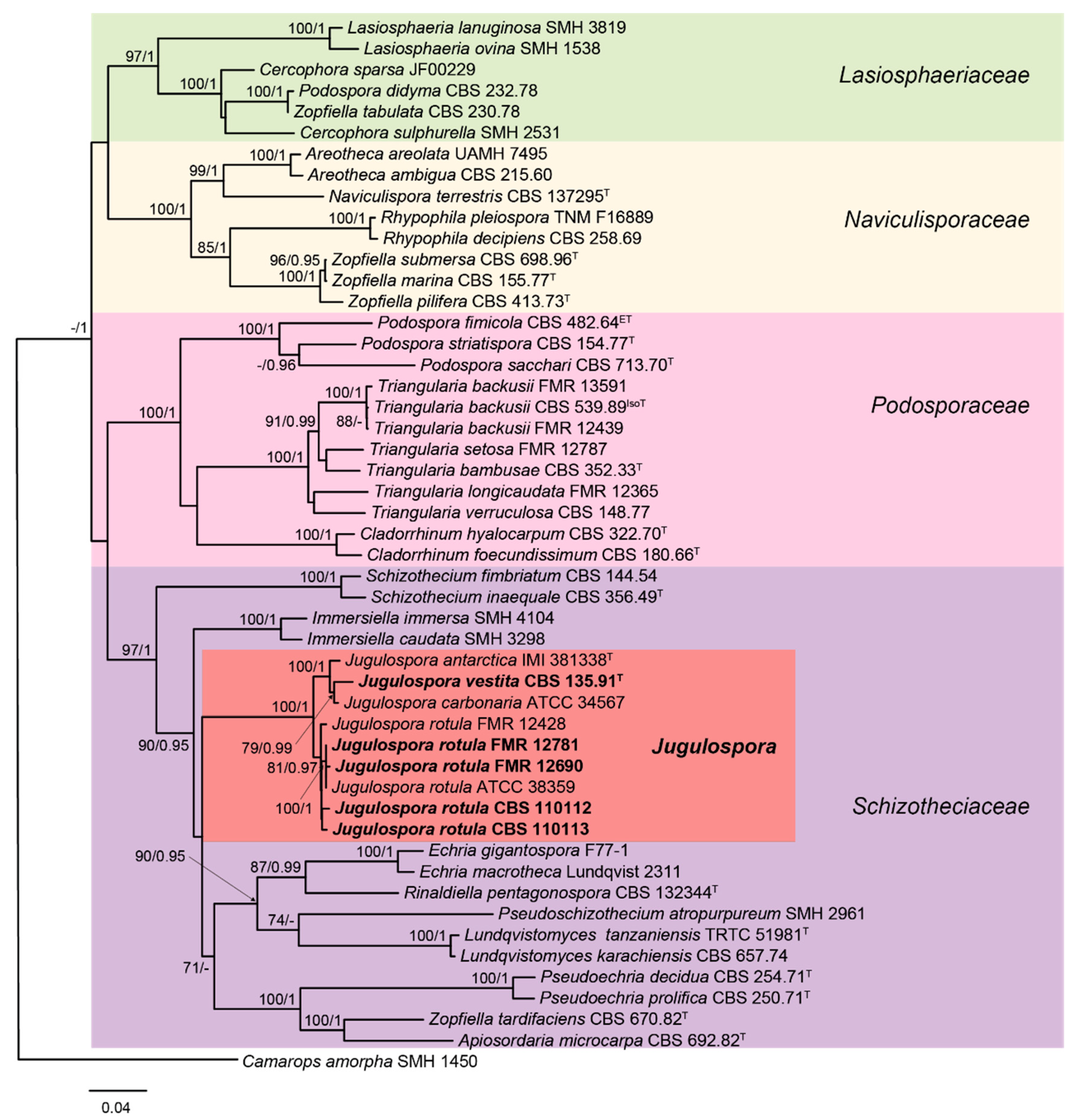 Jof 06 00188 g004 Jof 06 00188 g004