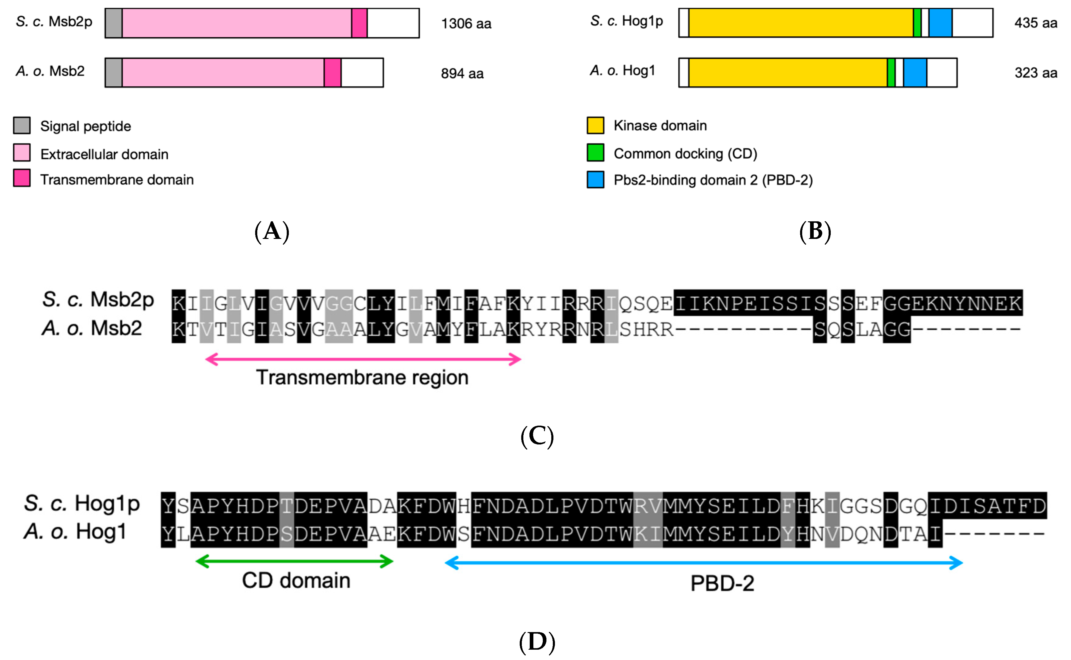 Jof 06 00191 g002 Jof 06 00191 g002