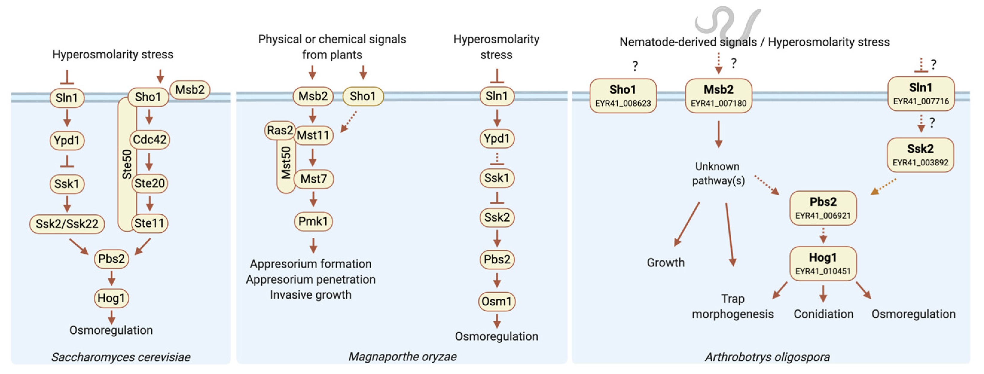 Jof 06 00191 g005 Jof 06 00191 g005