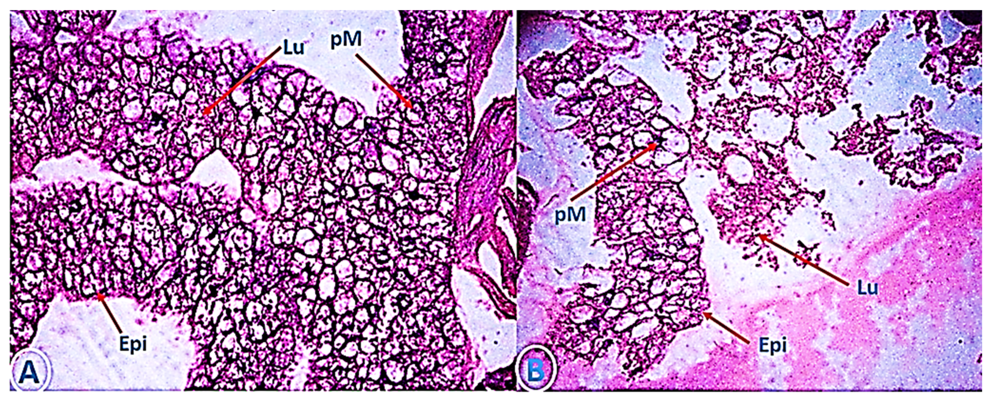 Jof 06 00196 g006